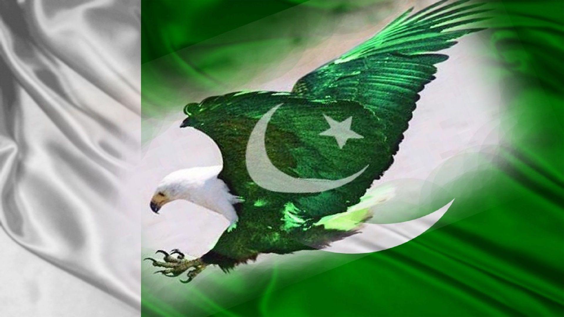 1920x1080 Eagle Pakistan Flag Wallpaper Hình nền HD HD miễn phí