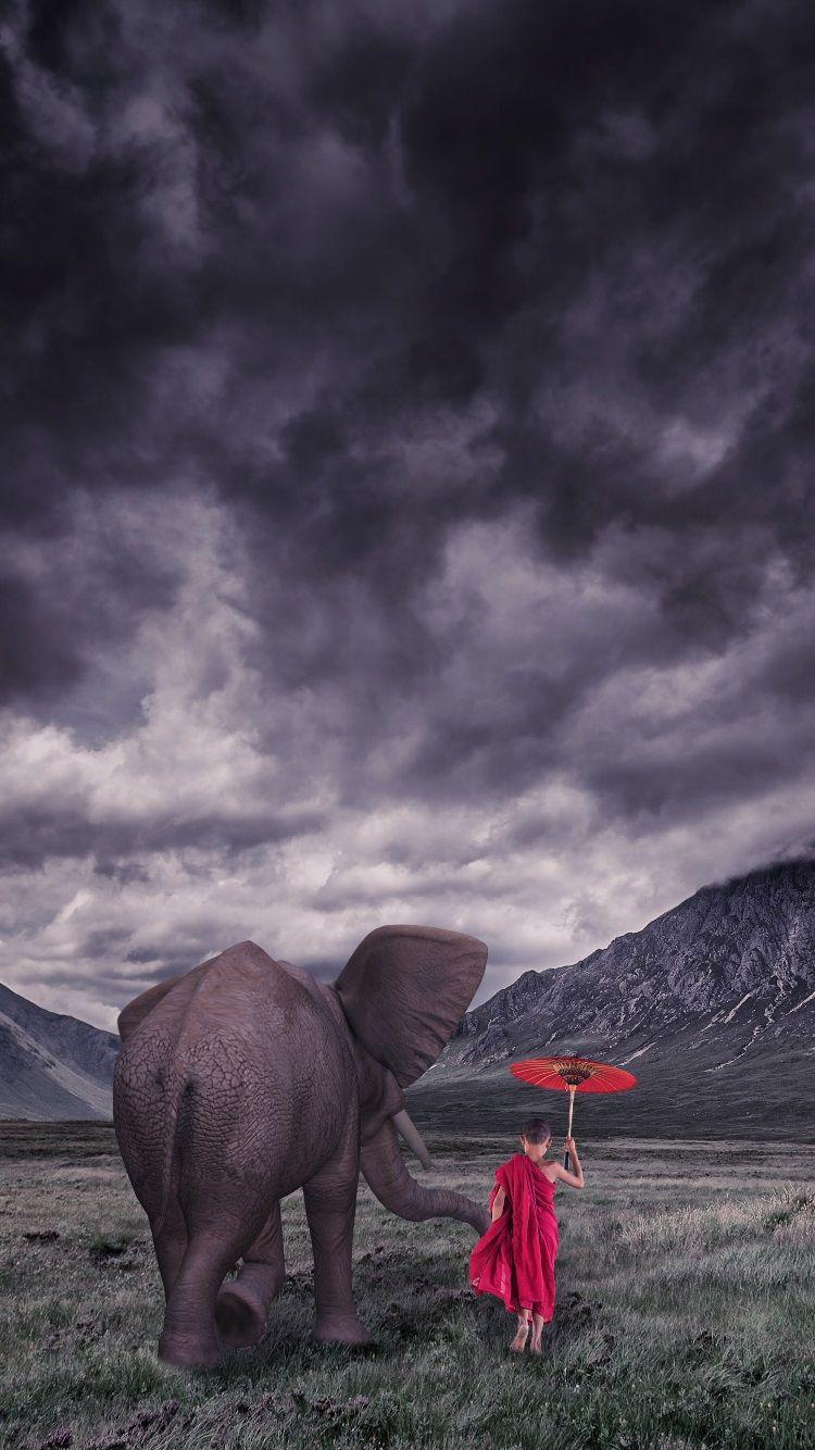 750x1334 Young Buddhist Monk with Elephant wallpaper 750x1334 HD iPhone 7