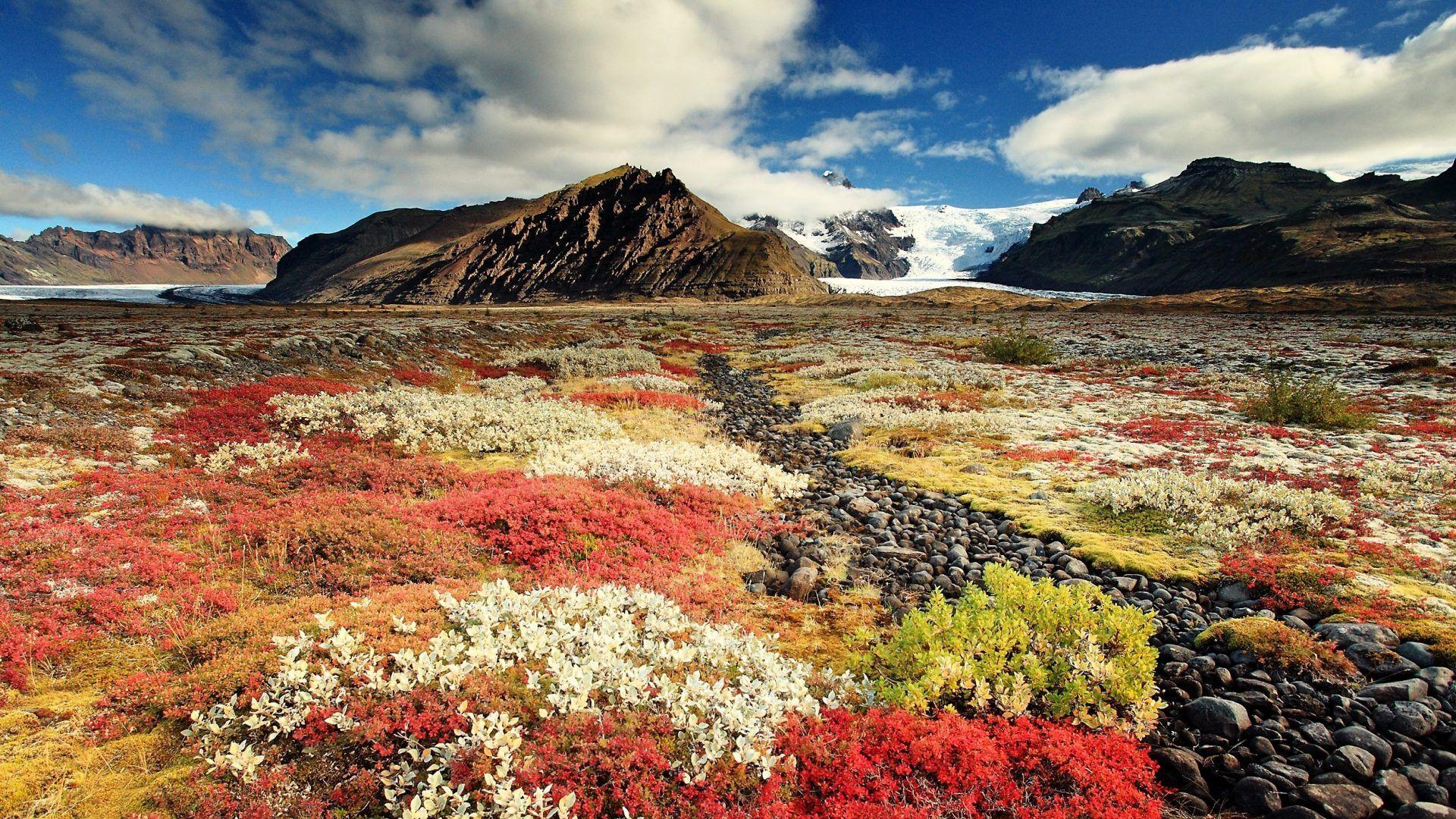 Tundra Wallpapers - Photos