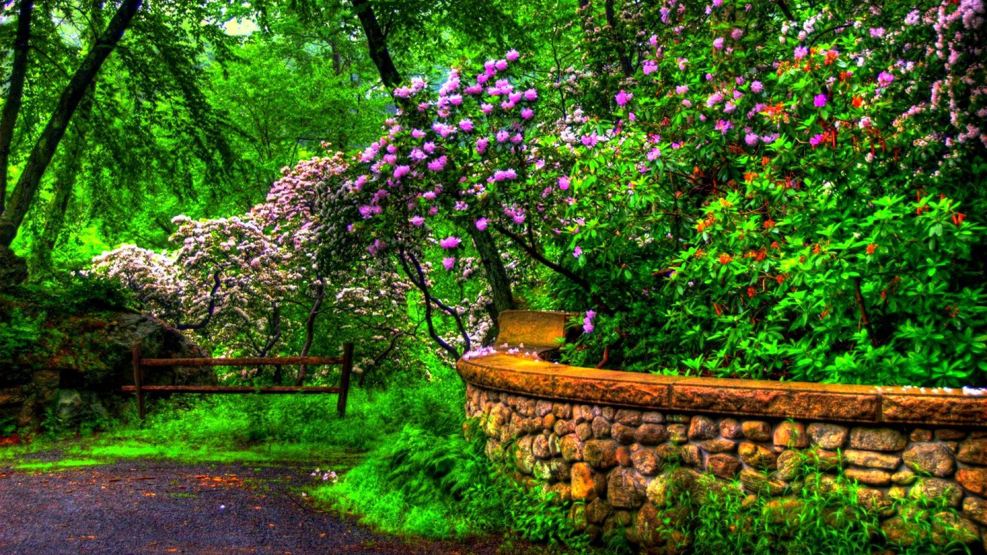 Top 22 Awesome,amazing And Beautiful Greenery Wallpapers In HD