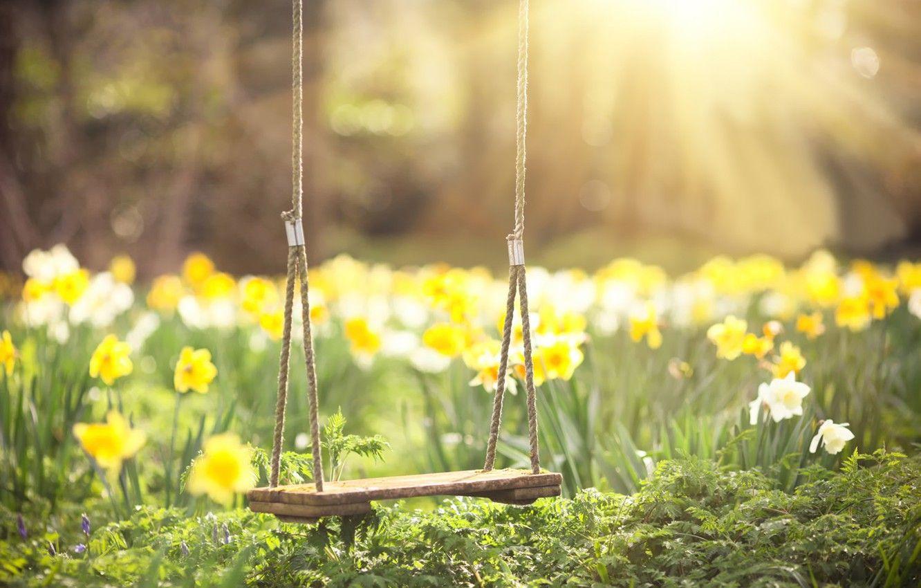 1332x850 Wallpaper greens, the sun, rays, flowers, swing, spring