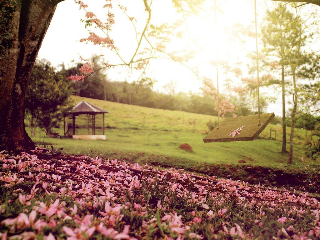 1024x768 Free download Springtime swing HD Wallpaper 10590 [1024x768]