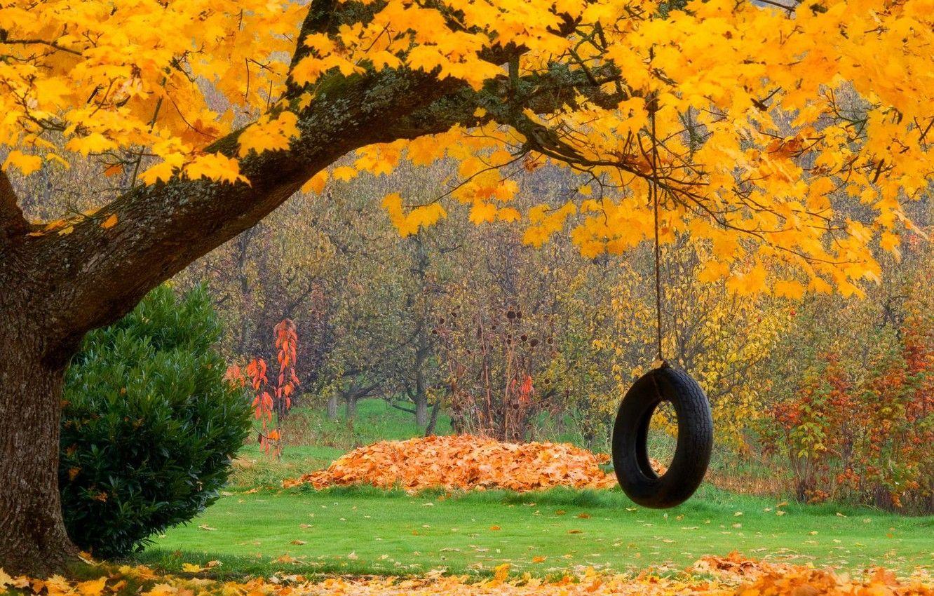 1332x850 Wallpaper autumn, forest, leaves, trees, nature, Park, swing