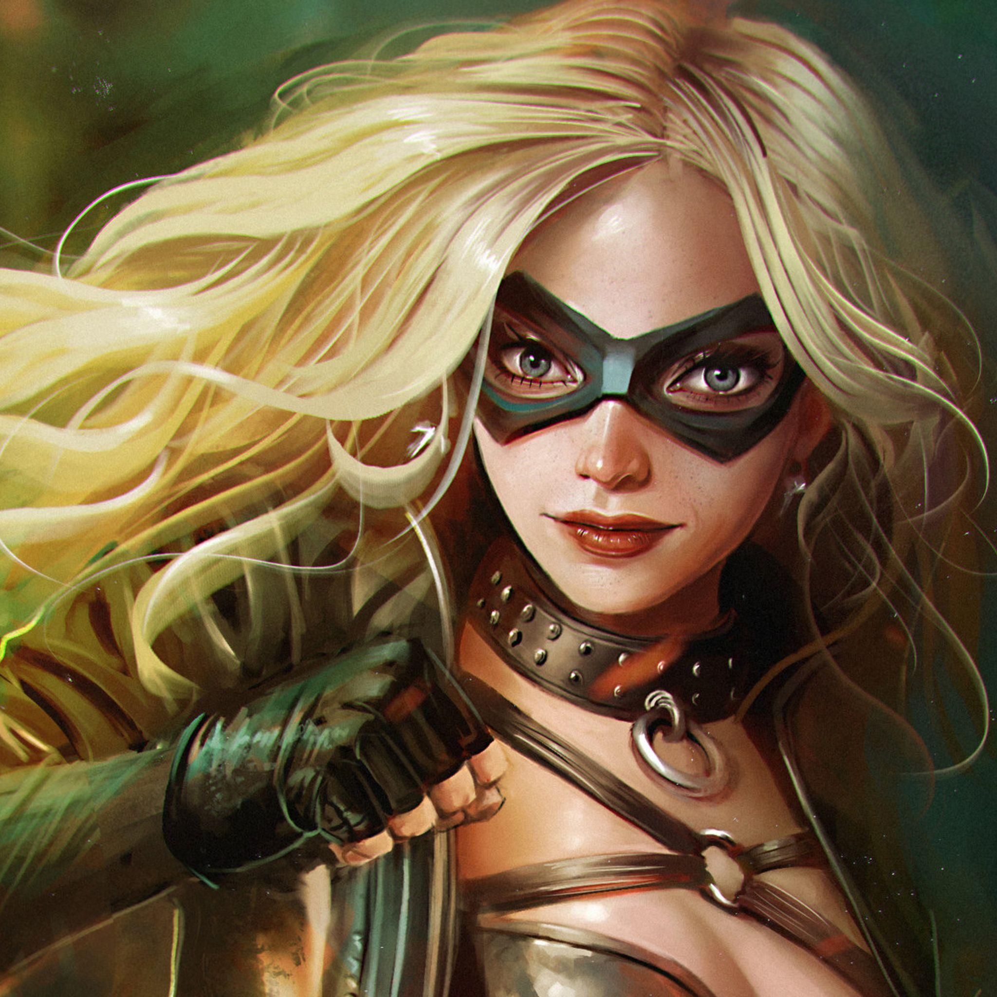 Featured image of post Dc Black Canary Wallpaper wallpaper black canary arrow dc comics tv series 2560 1707