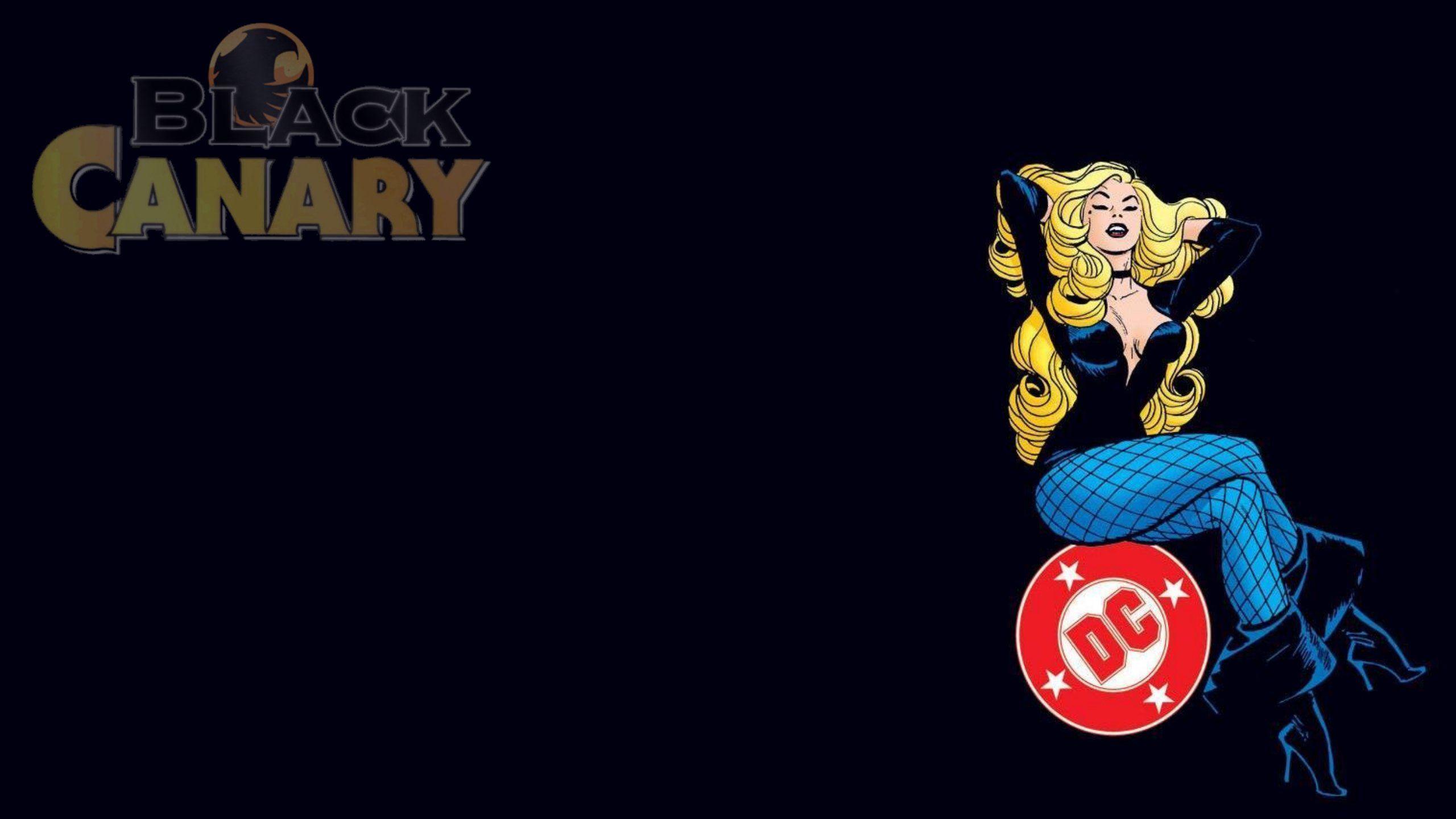 2560x1440 Black Canary Dc Comics D C Superhero Girl Black Canary Sc