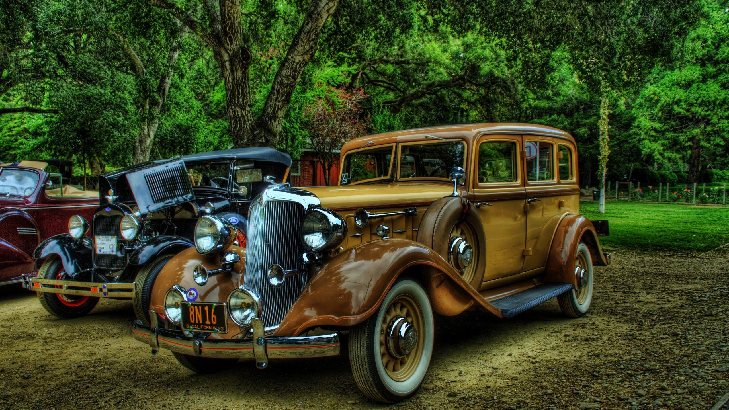 2560x1440 vintage, Car, Oldtimer, Digital Art, Vehicle, Trees, Plants