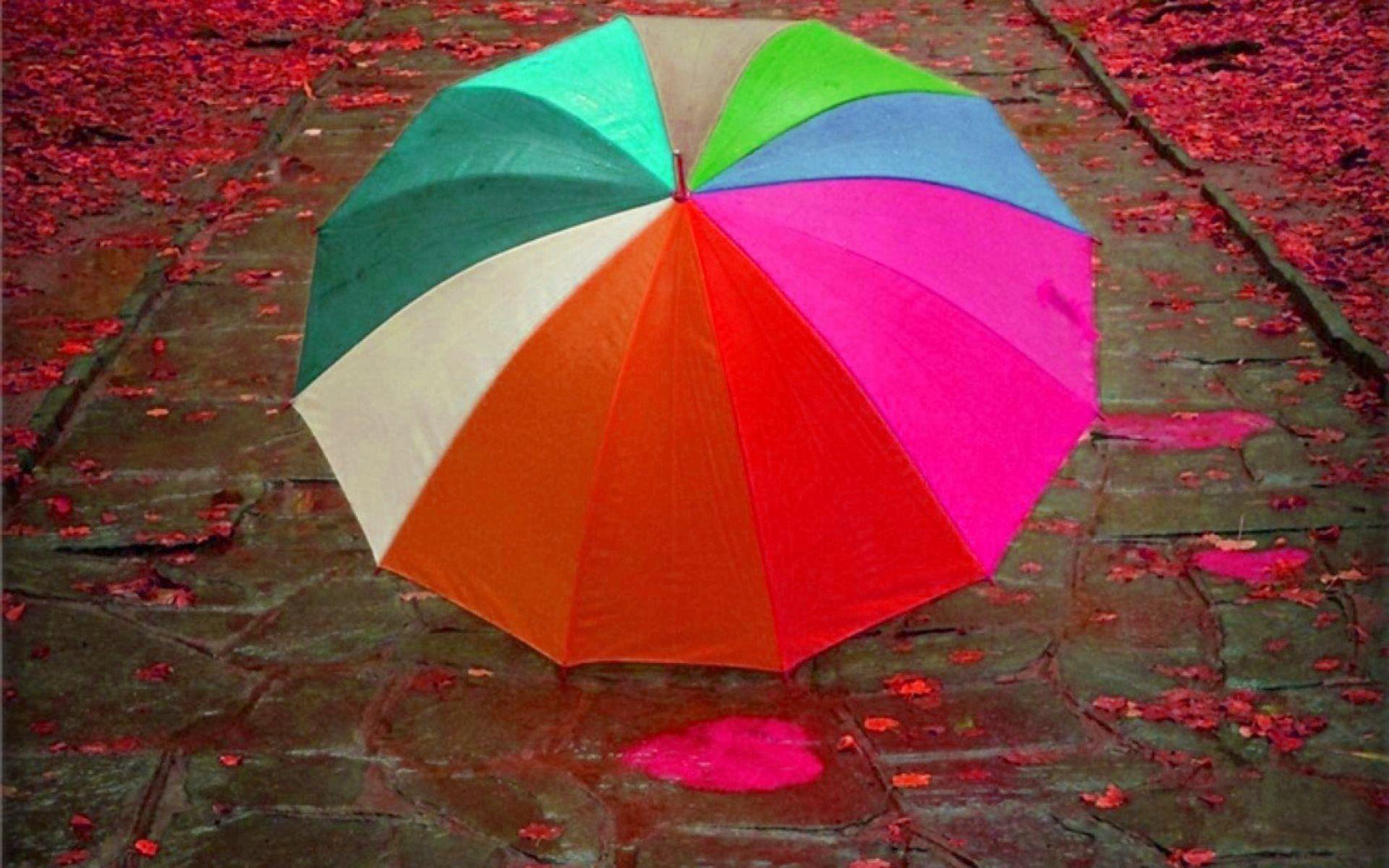 Umbrella Wallpapers - Top Free Umbrella Backgrounds ...