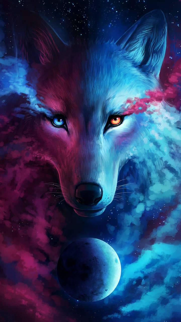 Galaxy Wolf Wallpapers Top Free Galaxy Wolf Backgrounds