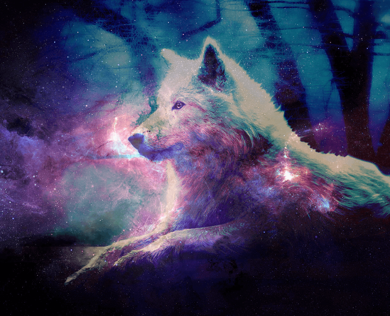 1272x1032 con sói thiên hà.  Galaxy Wolf hình nền