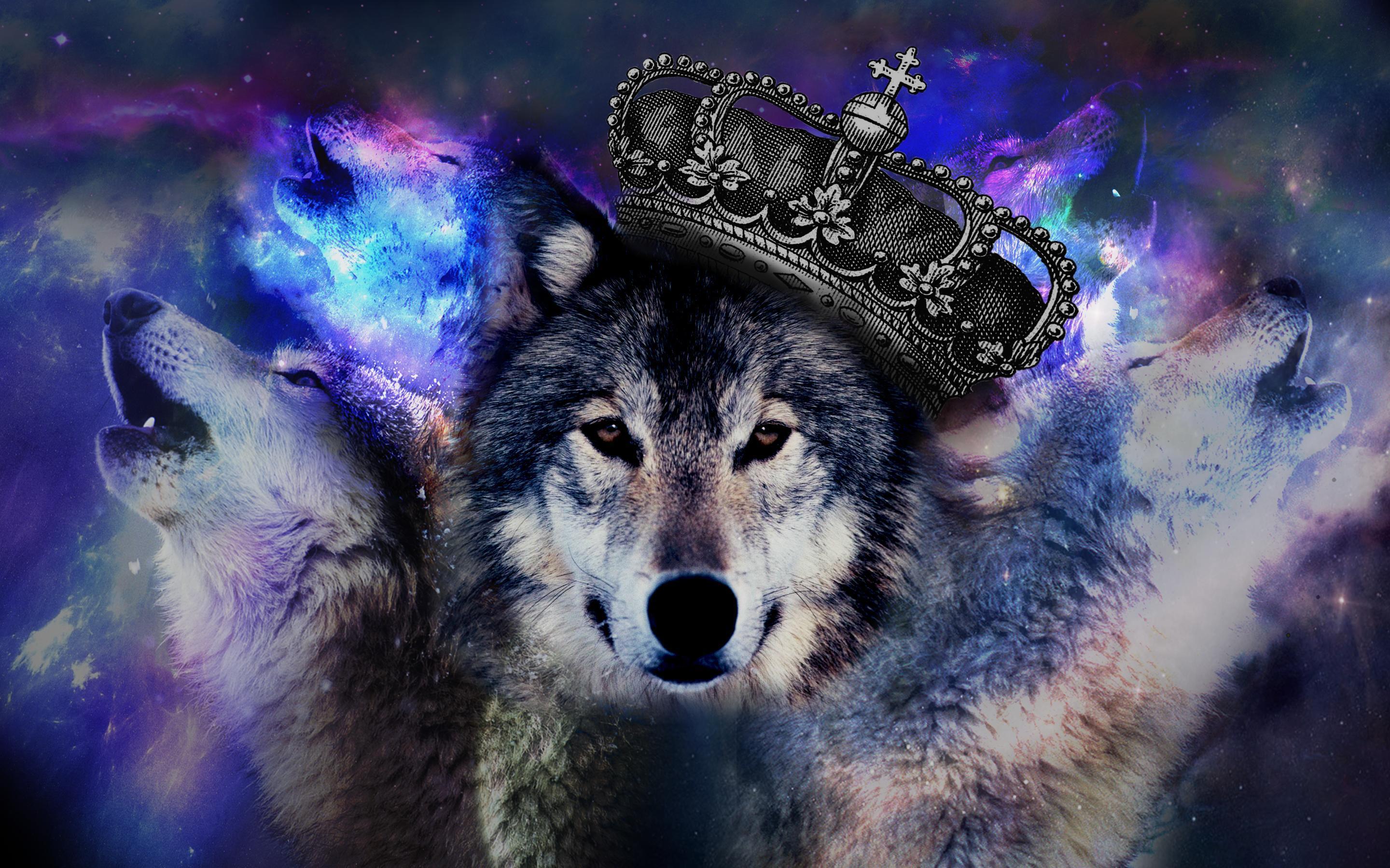 Galaxy Wolf Wallpaper 69 images