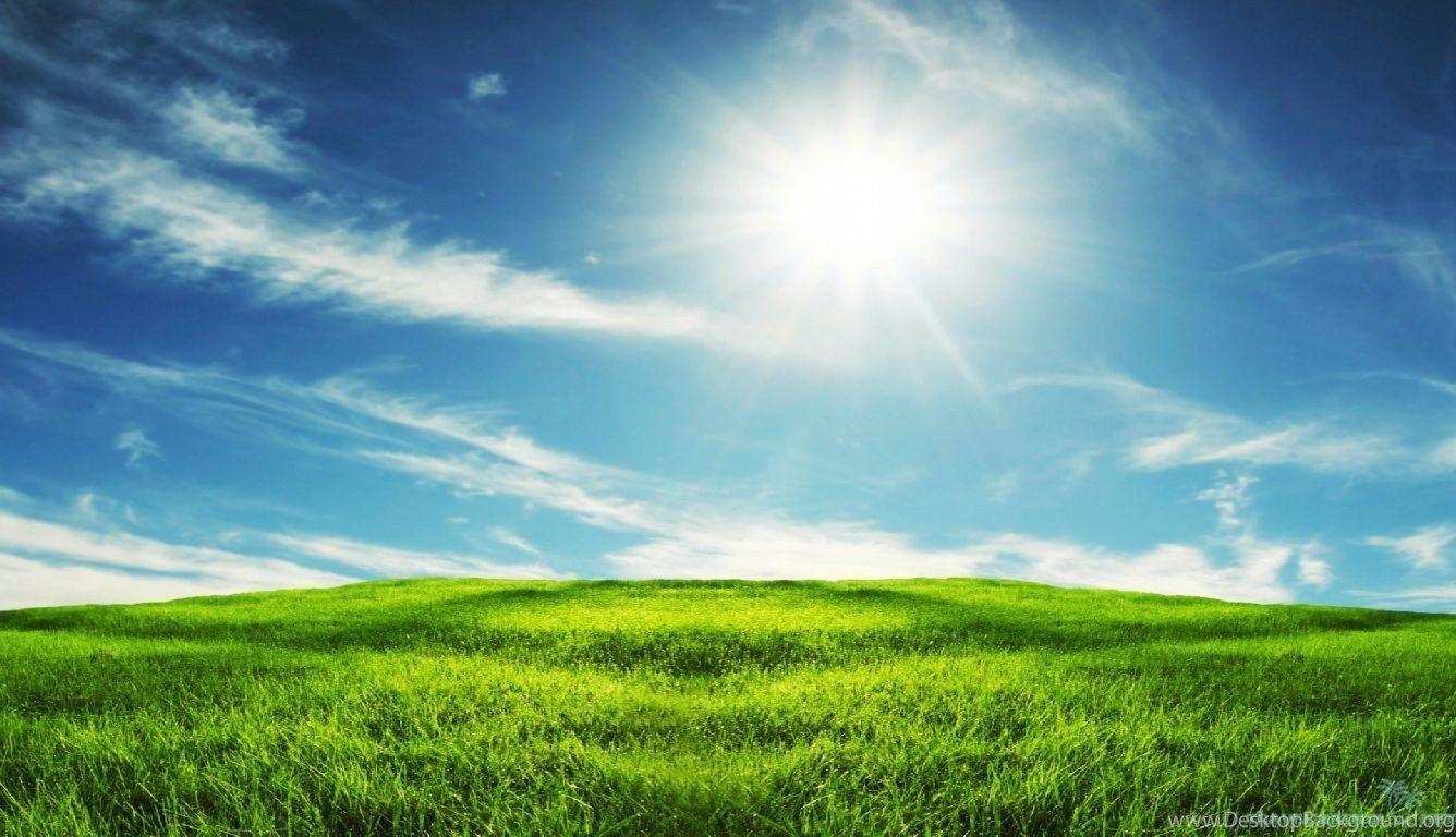 1336x768 Impressive Grassland Wallpaper Desktop Background