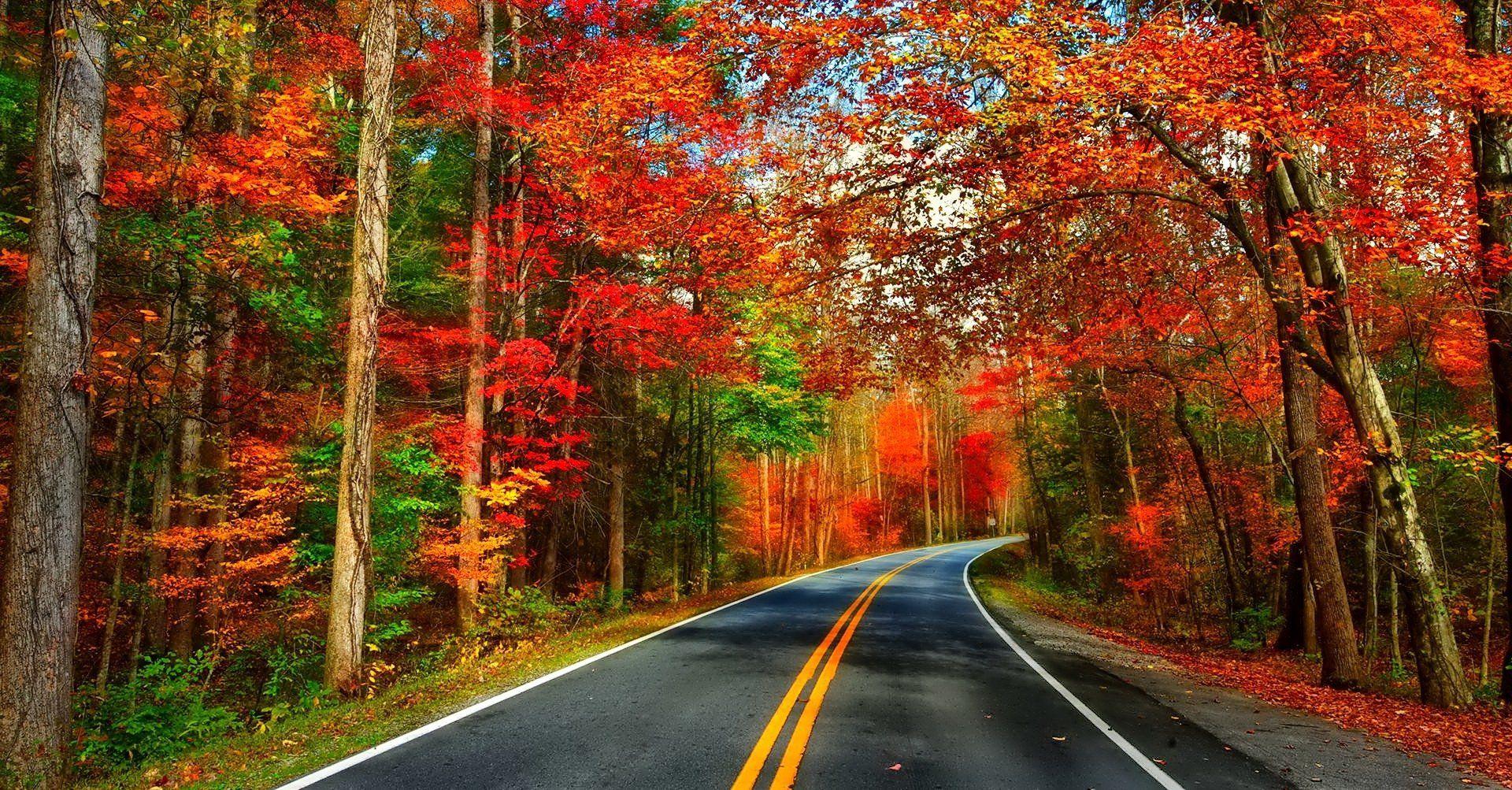 Autumn Road Wallpapers - Top Free Autumn Road Backgrounds - WallpaperAccess