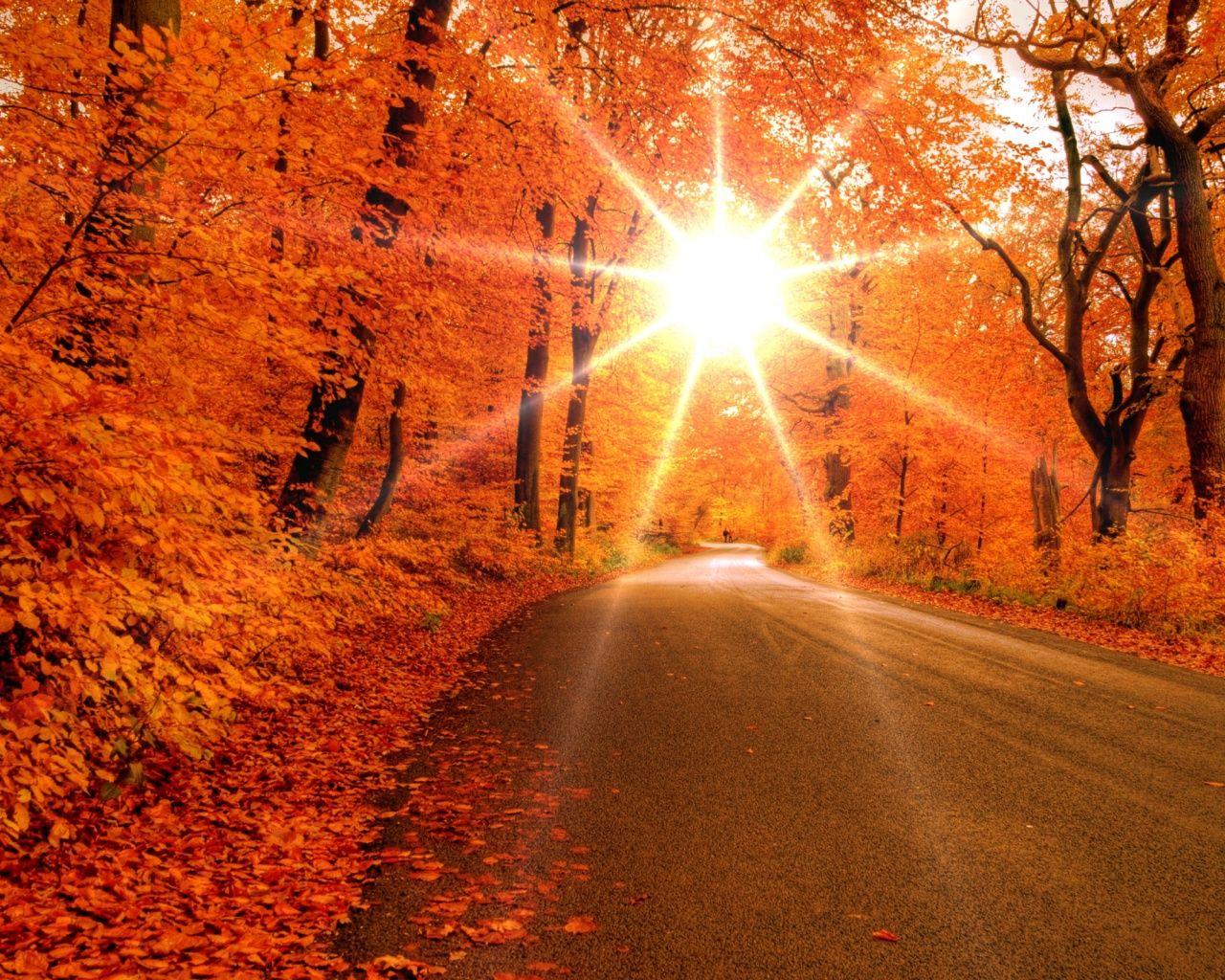 1280x1024 Autumn road wallpaper. Autumn road