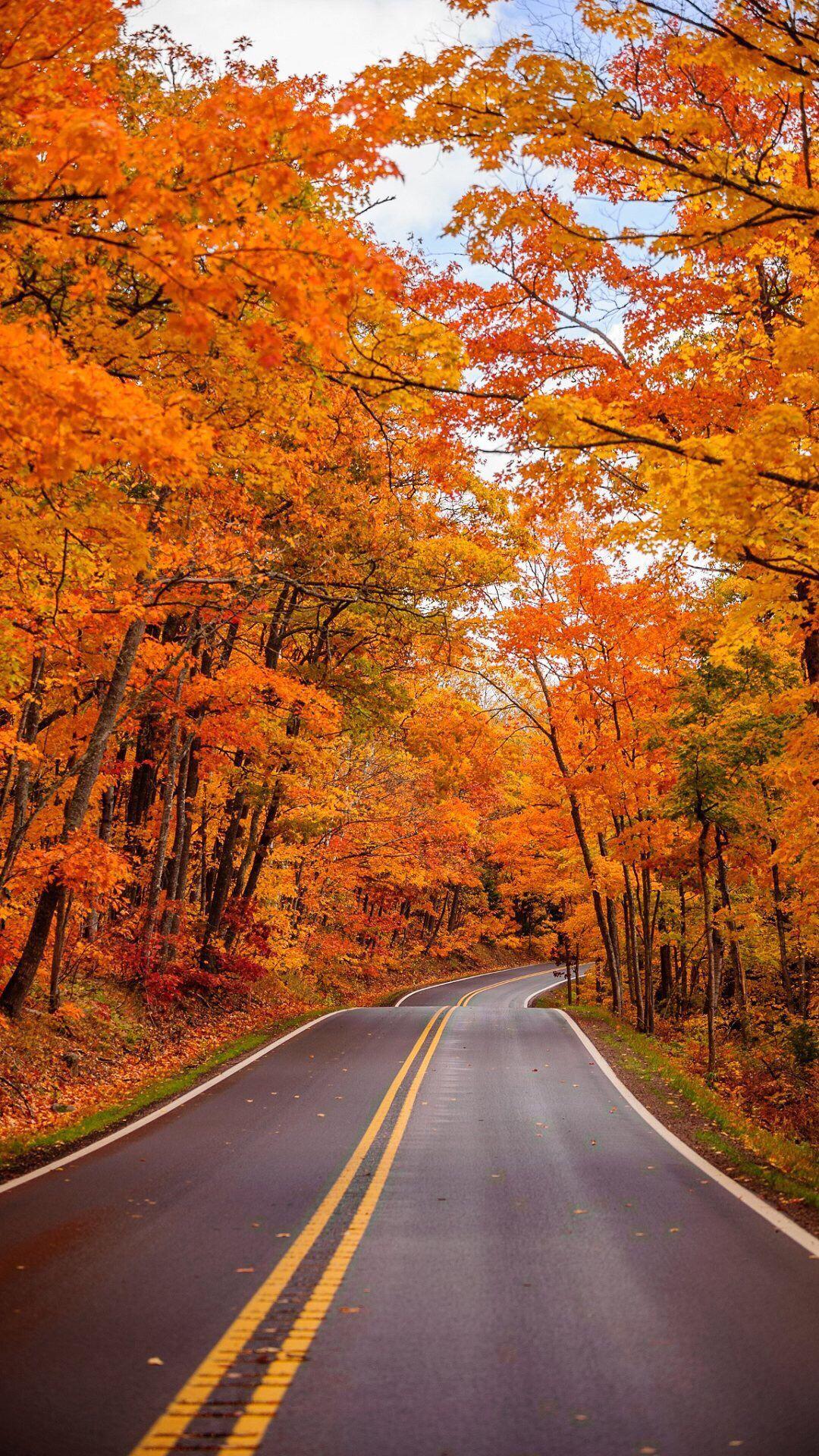 Fall Road Wallpapers - Top Free Fall Road Backgrounds - WallpaperAccess