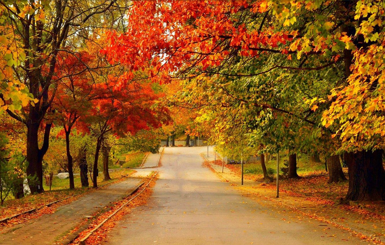 Fall Road Wallpapers - Top Free Fall Road Backgrounds - WallpaperAccess