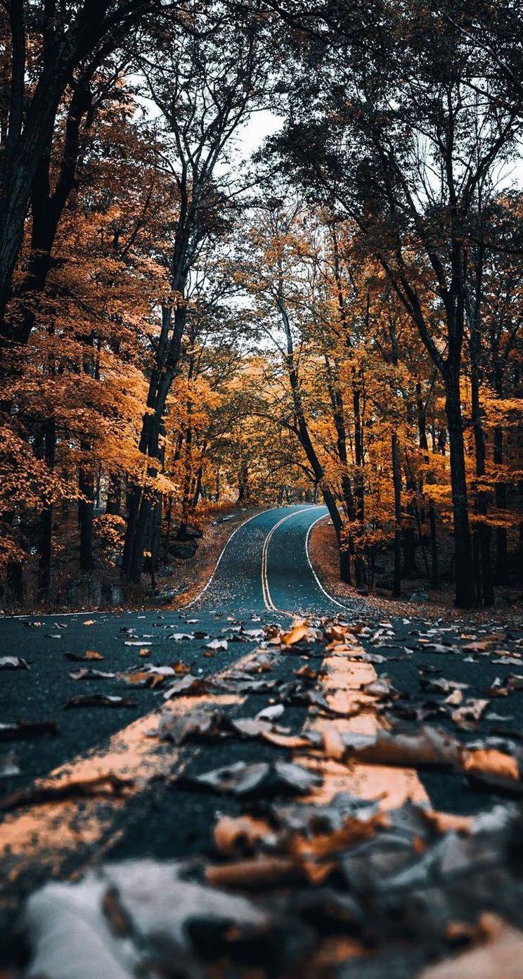 Fall Road Wallpapers - Top Free Fall Road Backgrounds - WallpaperAccess