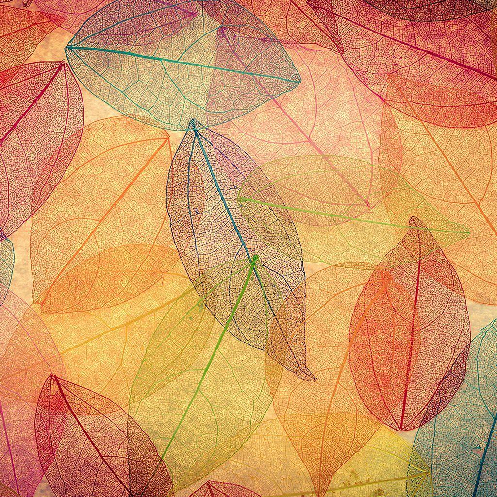 1024x1024 iPad wallpaper. rainbow color leaf art