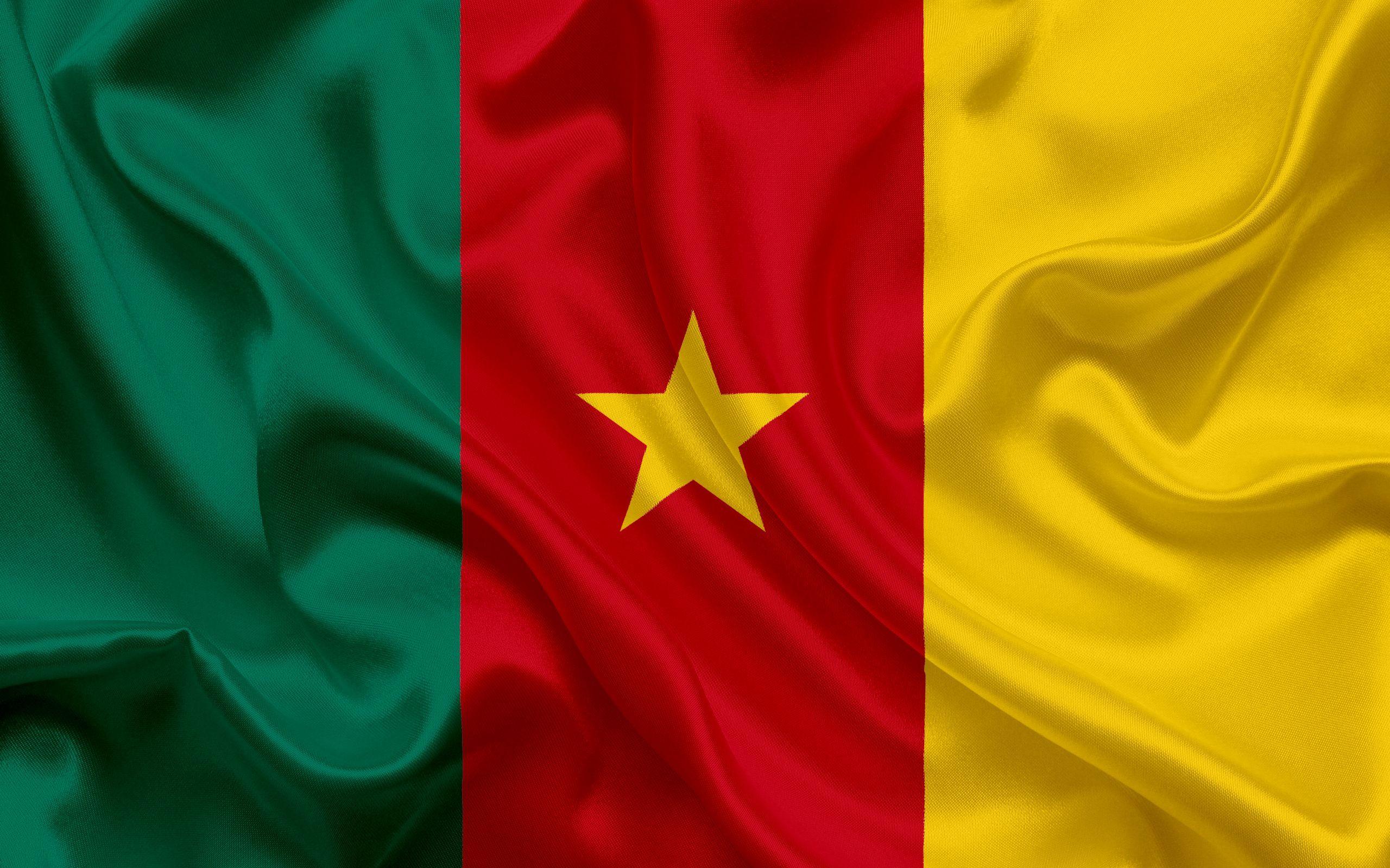 2560x1600 Cameroon Flag Wallpaper