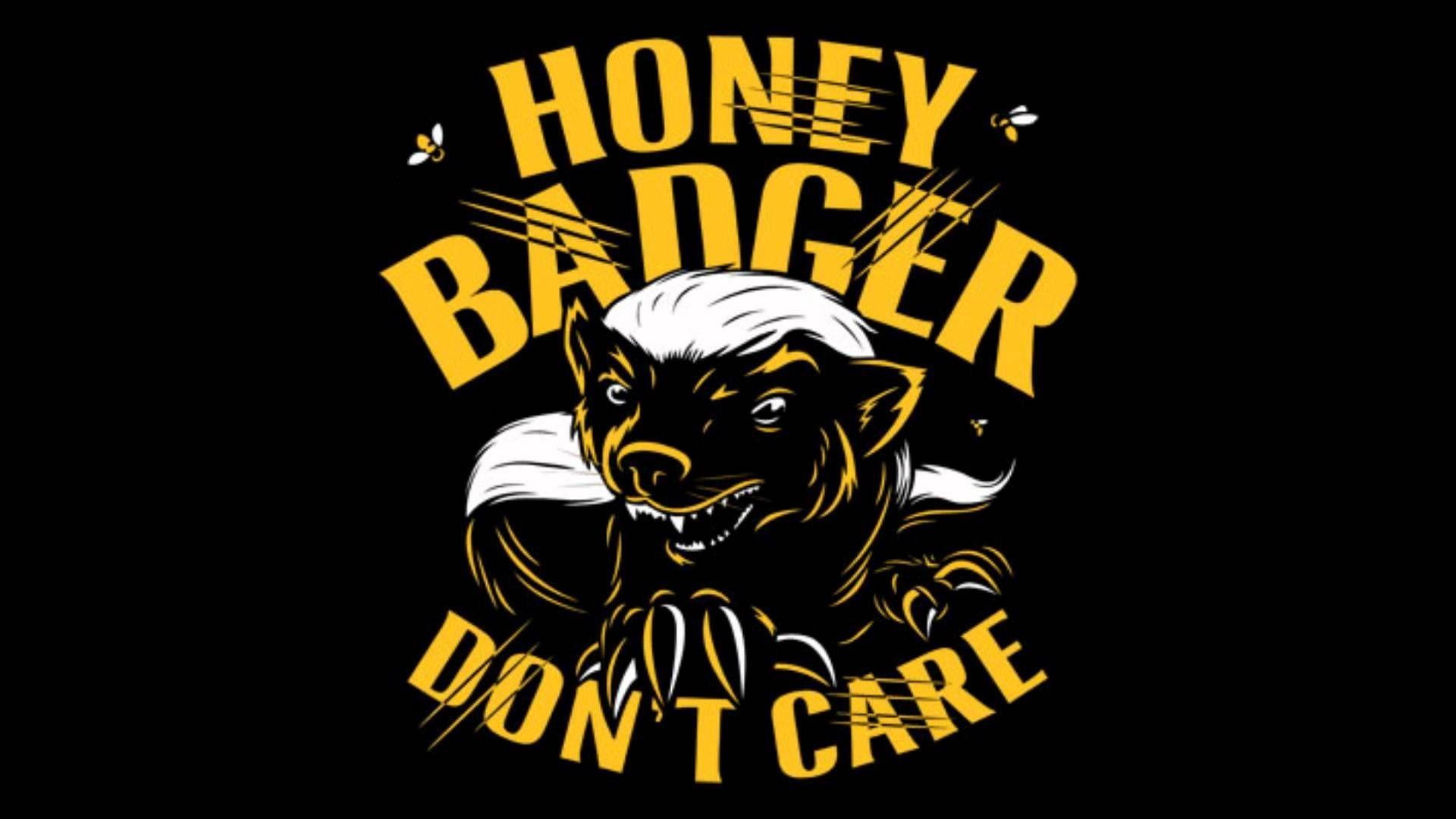 Honey badger HD wallpapers  Pxfuel