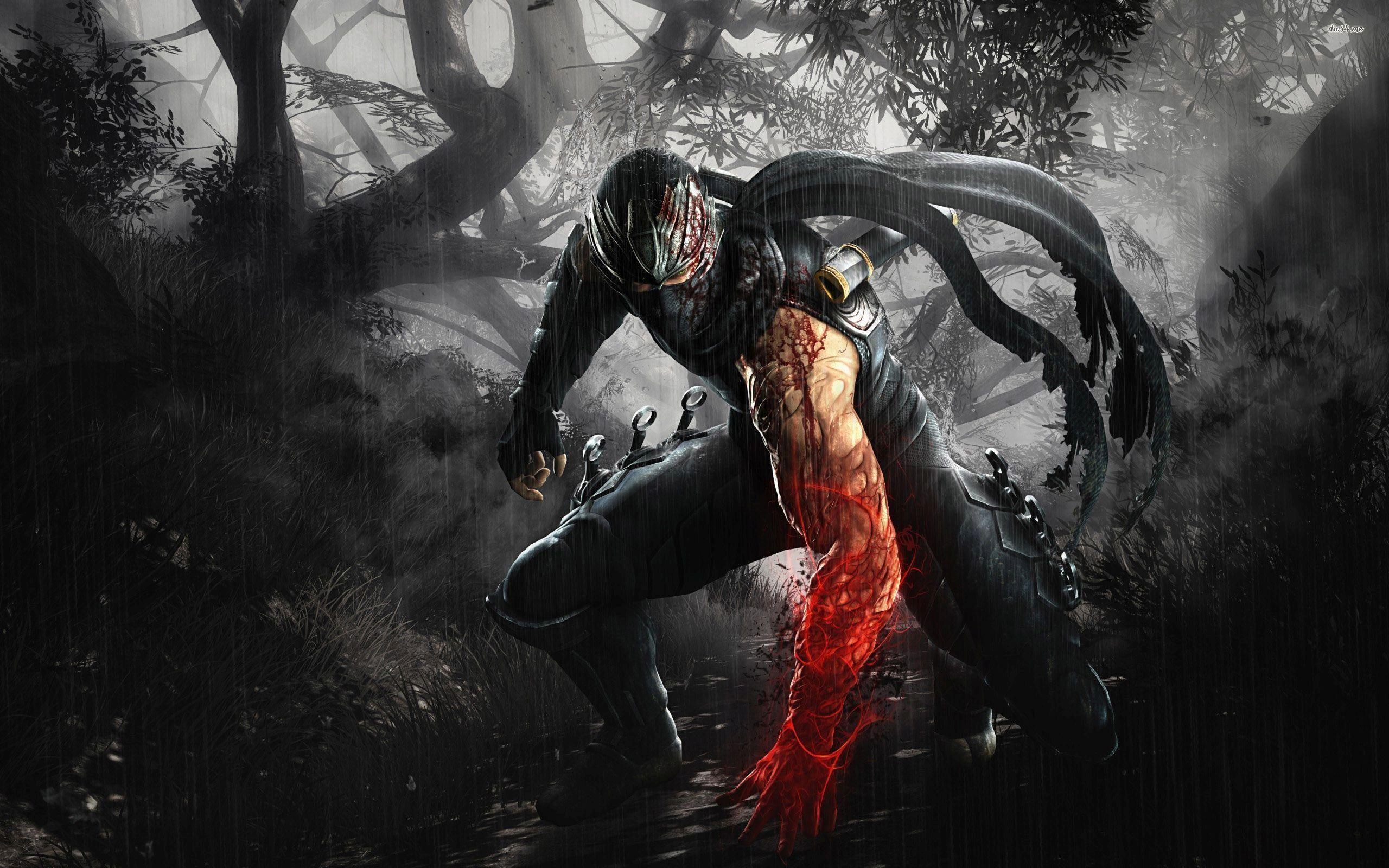 2560x1600 Ryu Hayabusa Wallpaper. Image Wallpaper