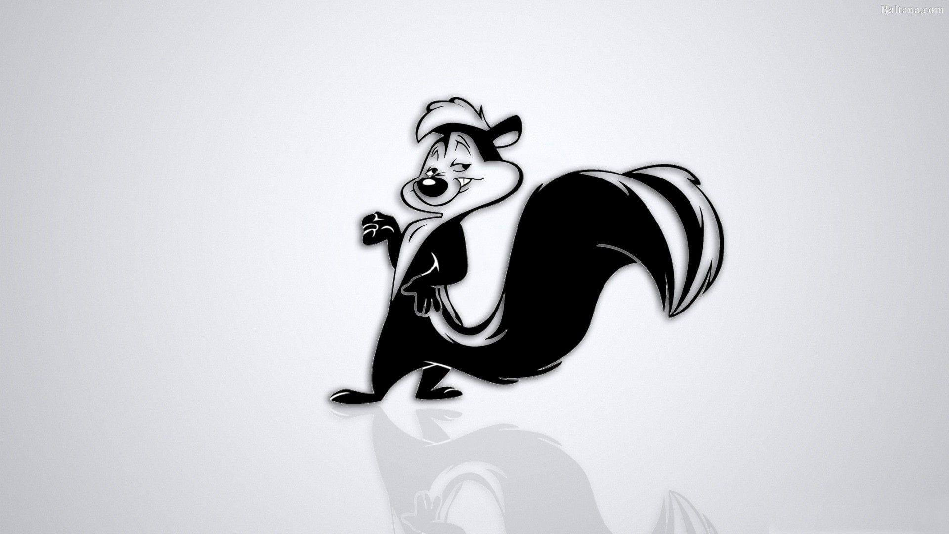 Skunk Wallpapers - Top Free Skunk Backgrounds - WallpaperAccess
