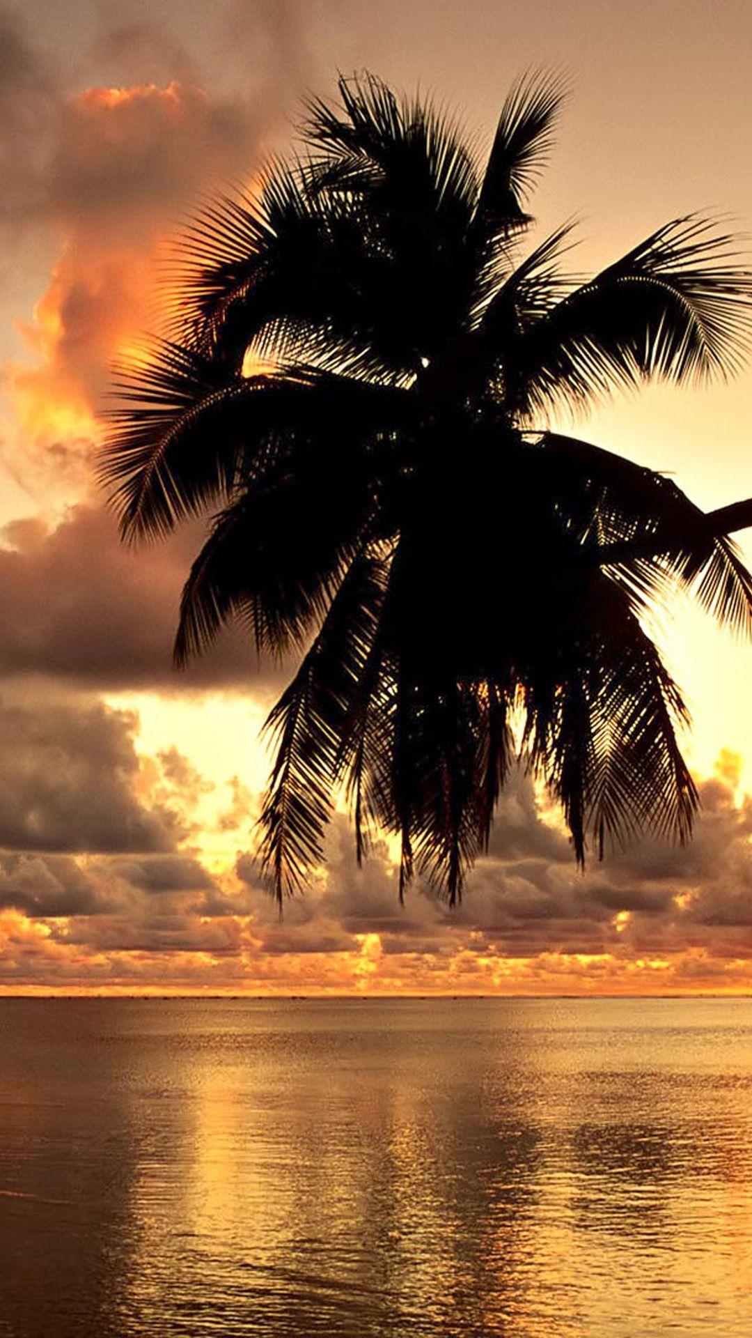 1080x1920 Tropical Coast Sunset Hình nền iPhone.  Hình nền.  Hoàng hôn