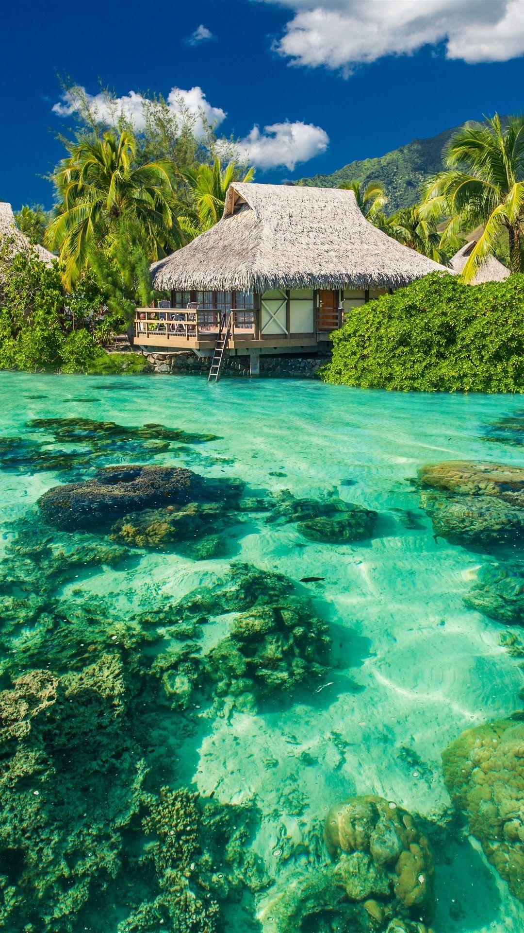 1080x1920 Palm trees, sea, clear water, resort, tropical 1242x2688