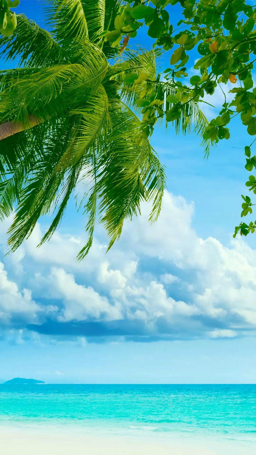 Beach Tropical Iphone Wallpapers Top Free Beach Tropical Iphone Backgrounds Wallpaperaccess