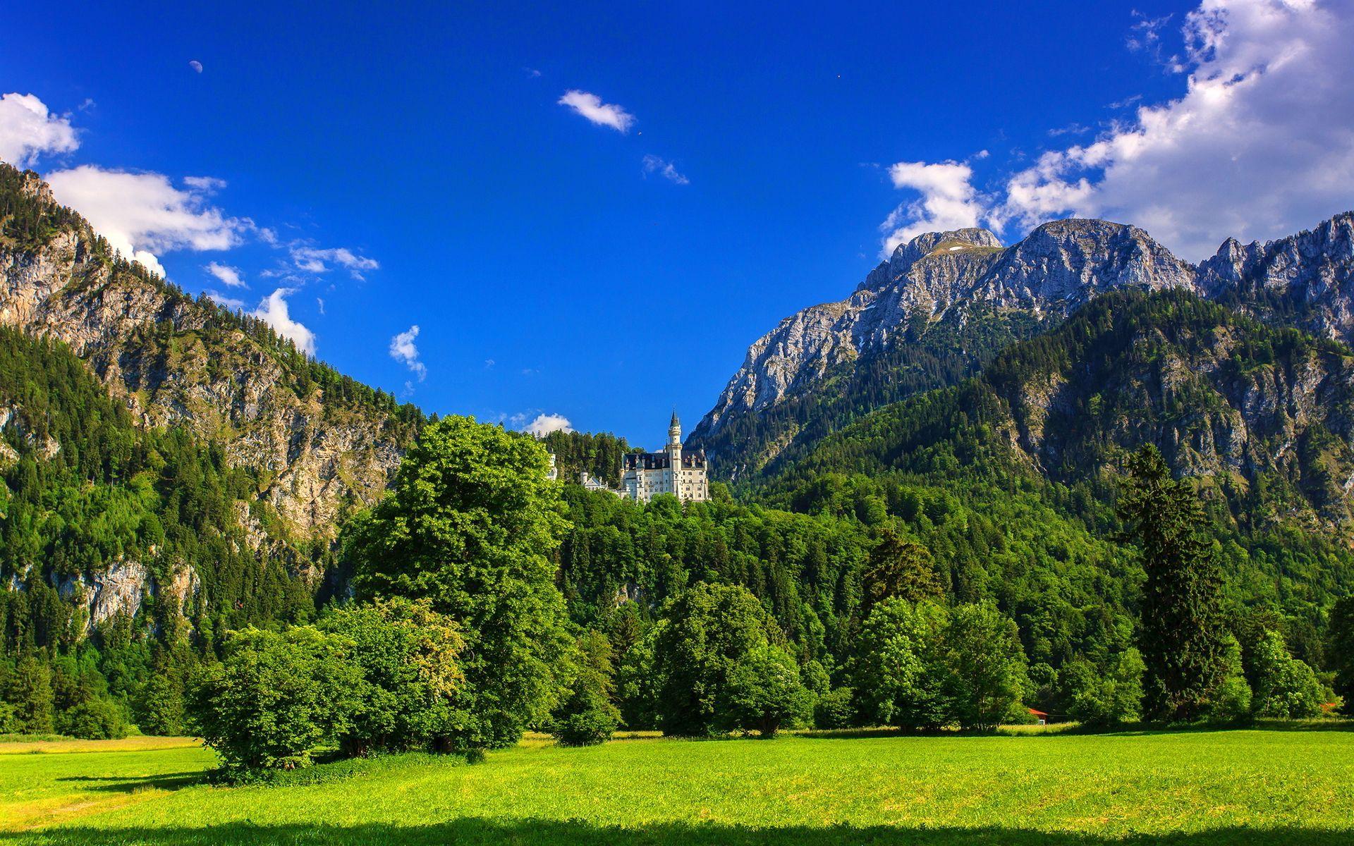 Mountains, Vacation, Bavaria, Tree, Mountain, Flowers, Germany, peak of  summer HD wallpaper | Pxfuel