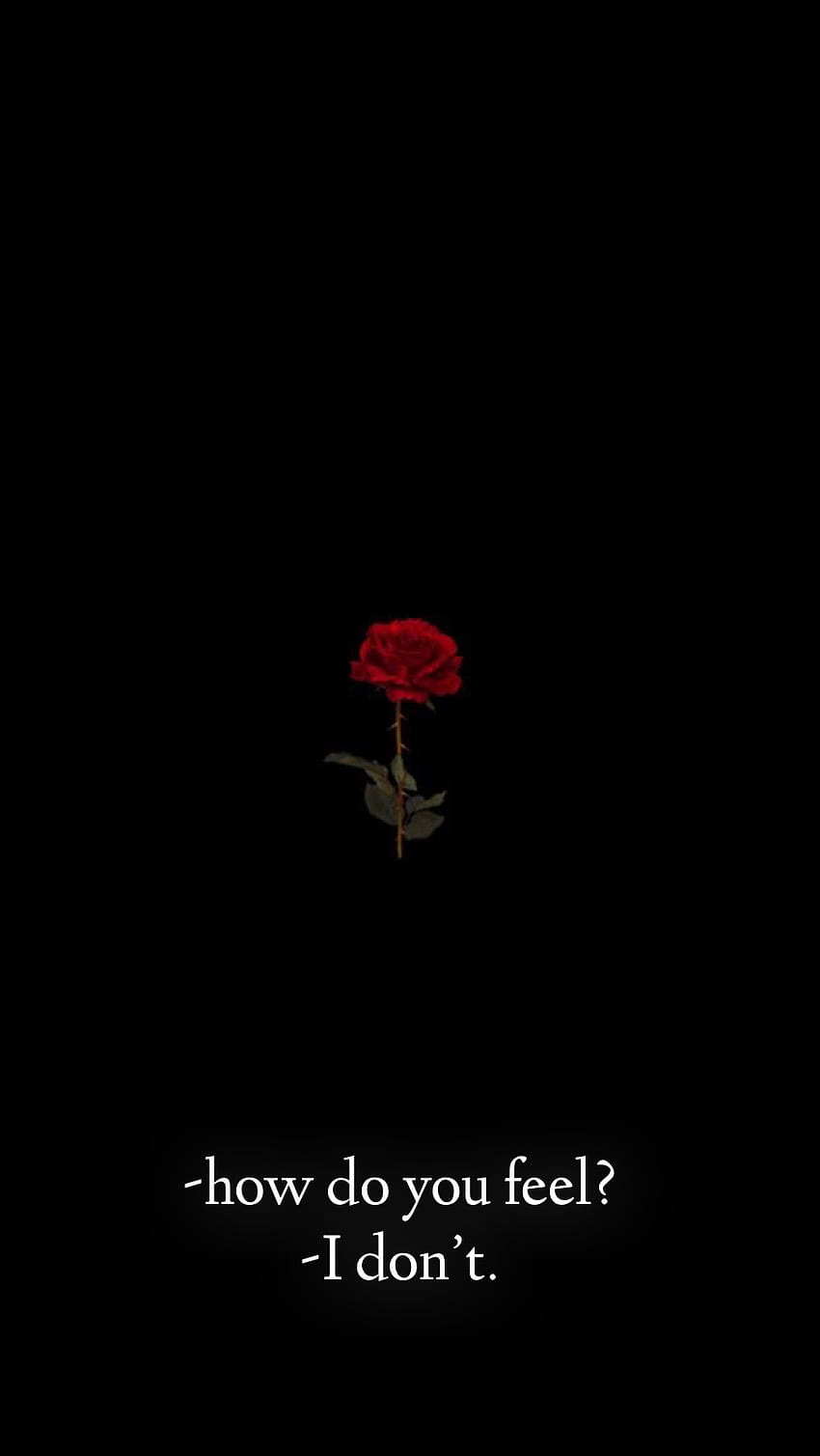 850x1508 Breakup quotes HD phone wallpaper