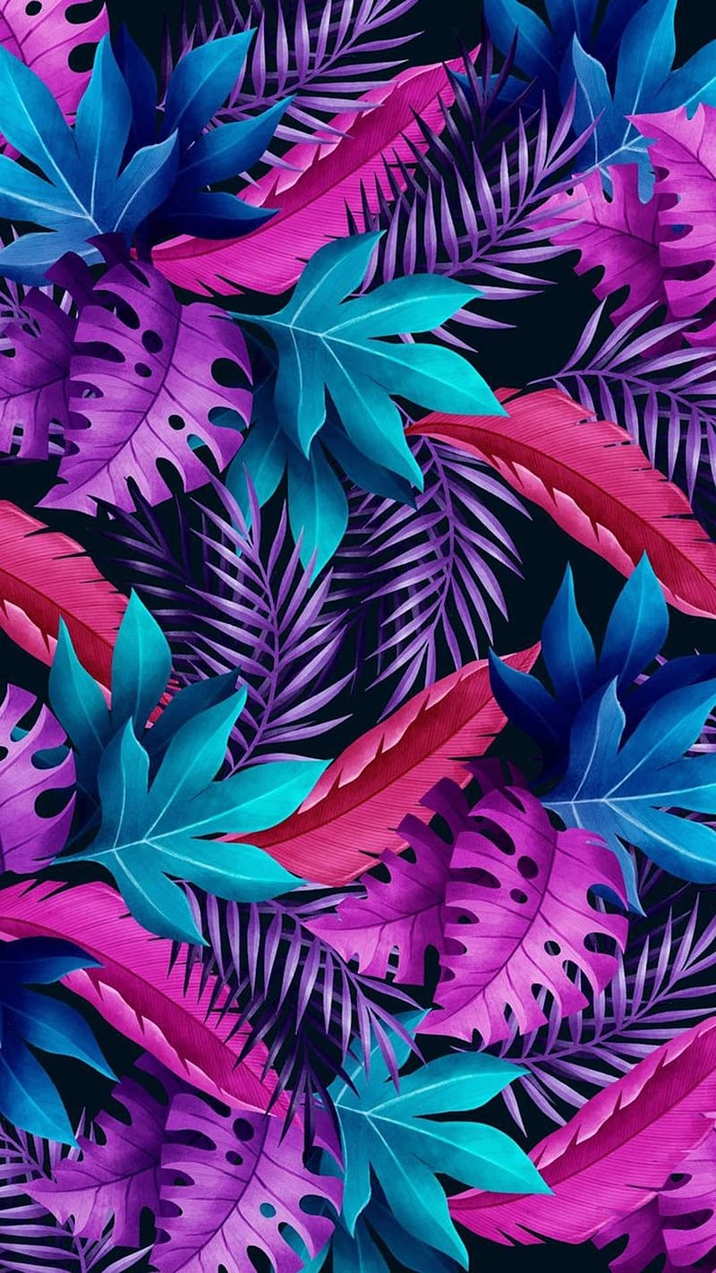 800x1422 HD samsung purple wallpaper