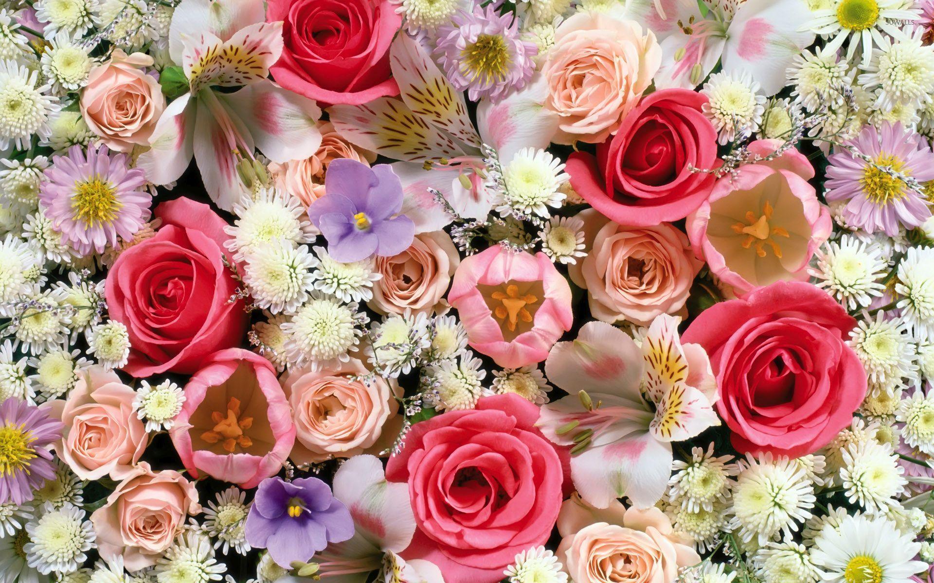 1920x1200 Colorful Roses Wallpaper