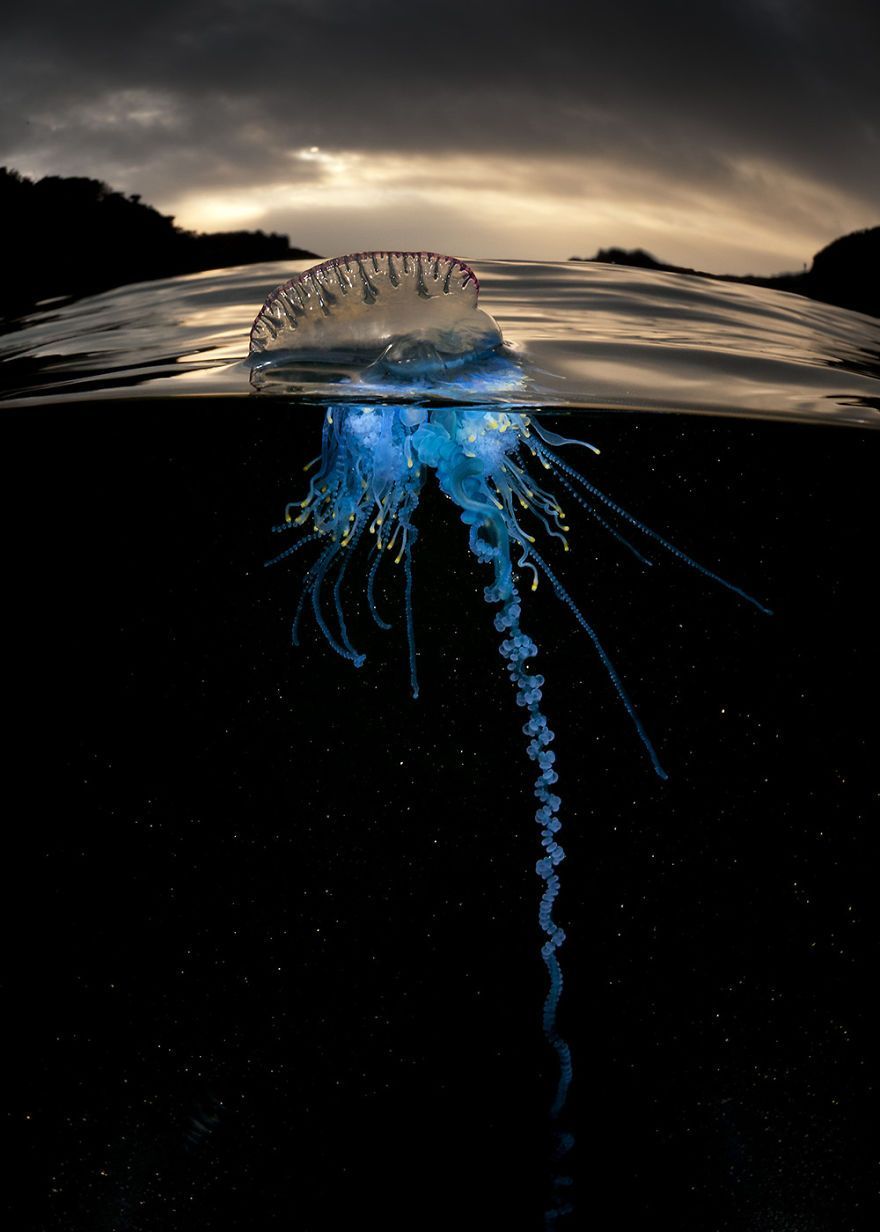 880x1232 My Half Underwater Pics Show What Hides