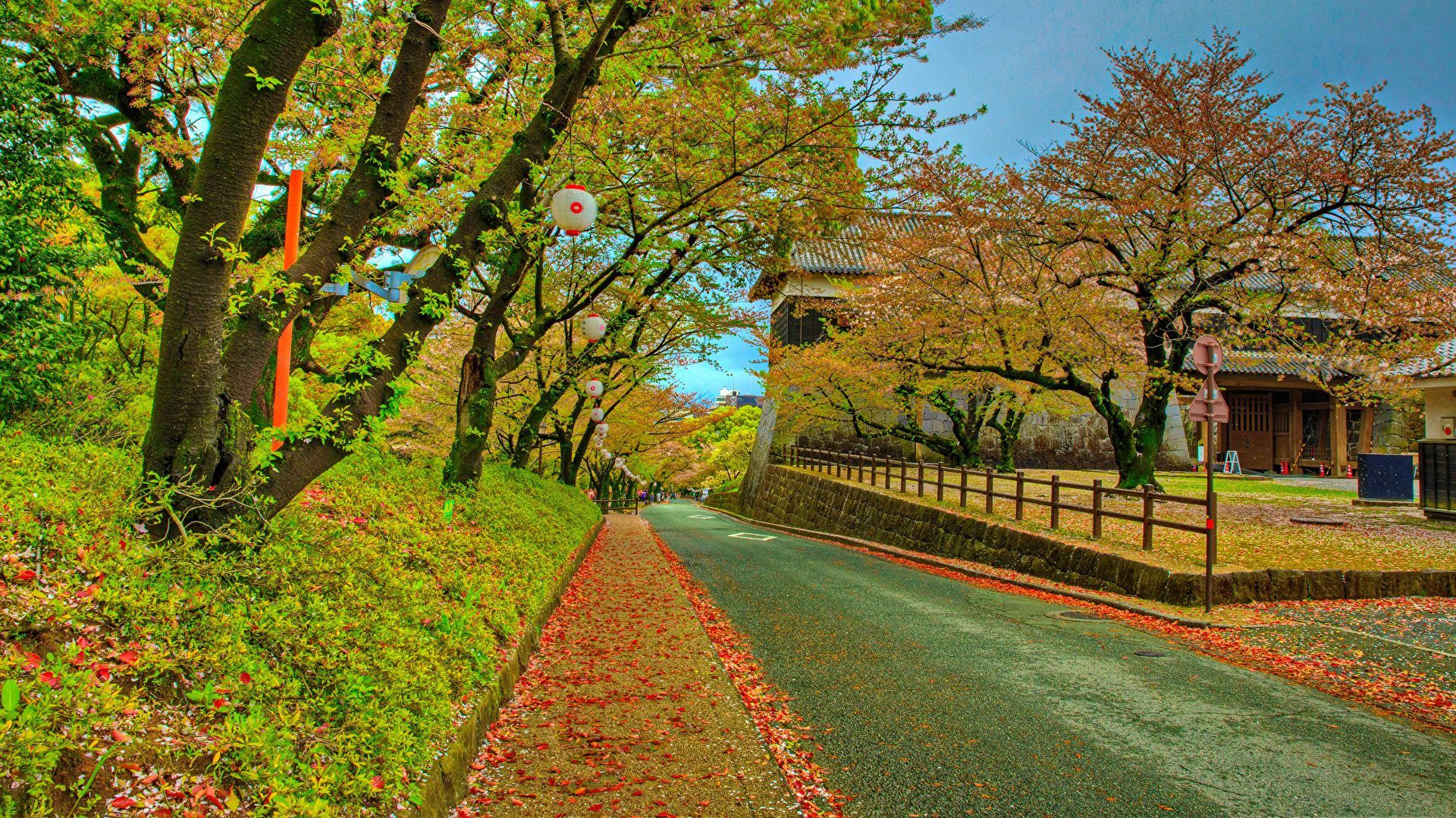 1920x1080 Wallpaper Japan Foliage Kumamoto Castle