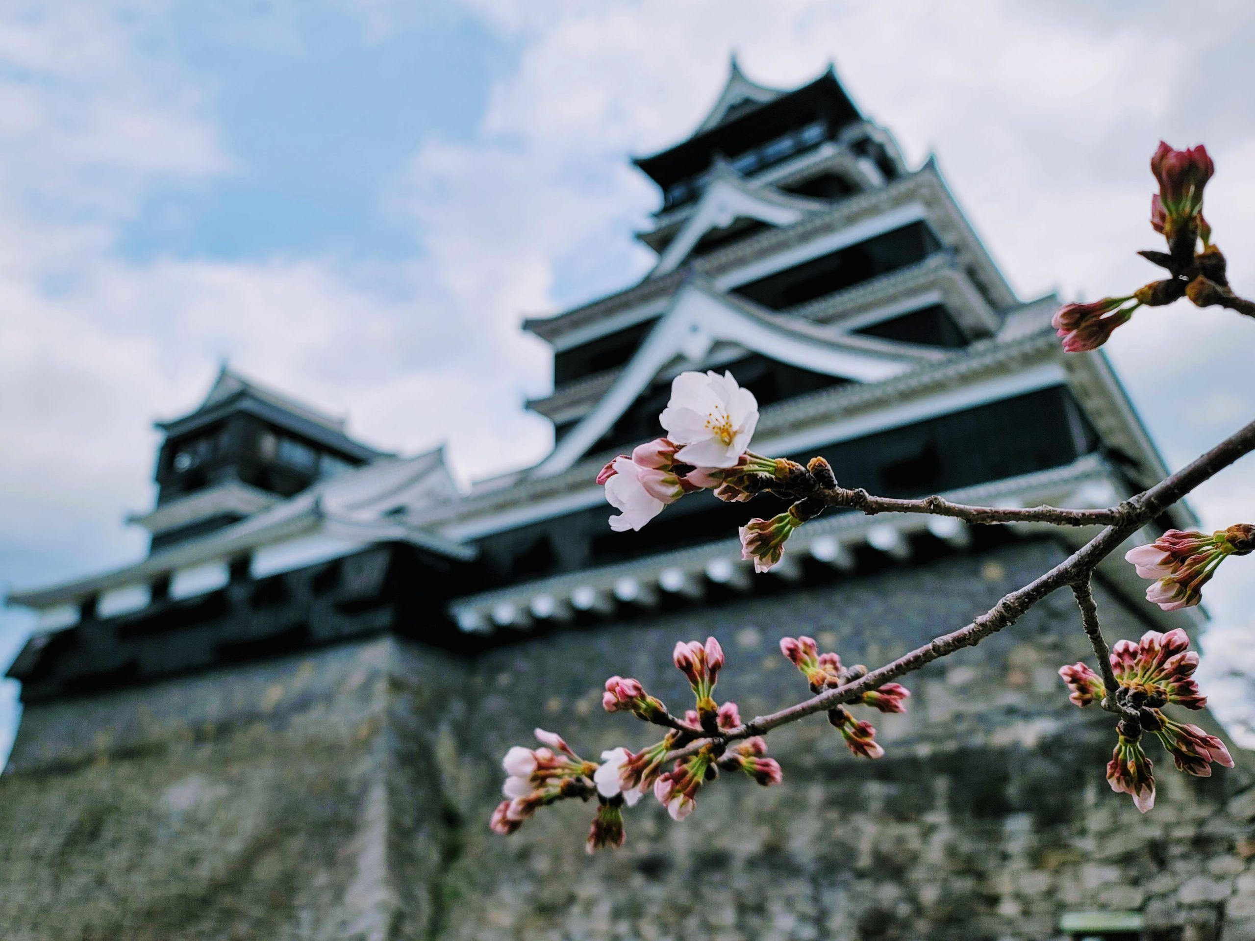 2560x1919 This Week in Kumamoto