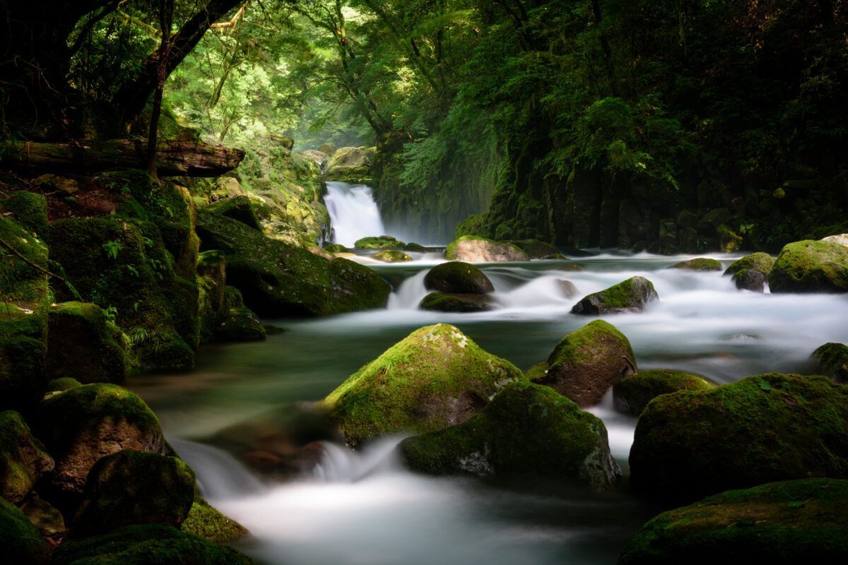 1200x800 Kumamoto: Greenery and Limpid Water