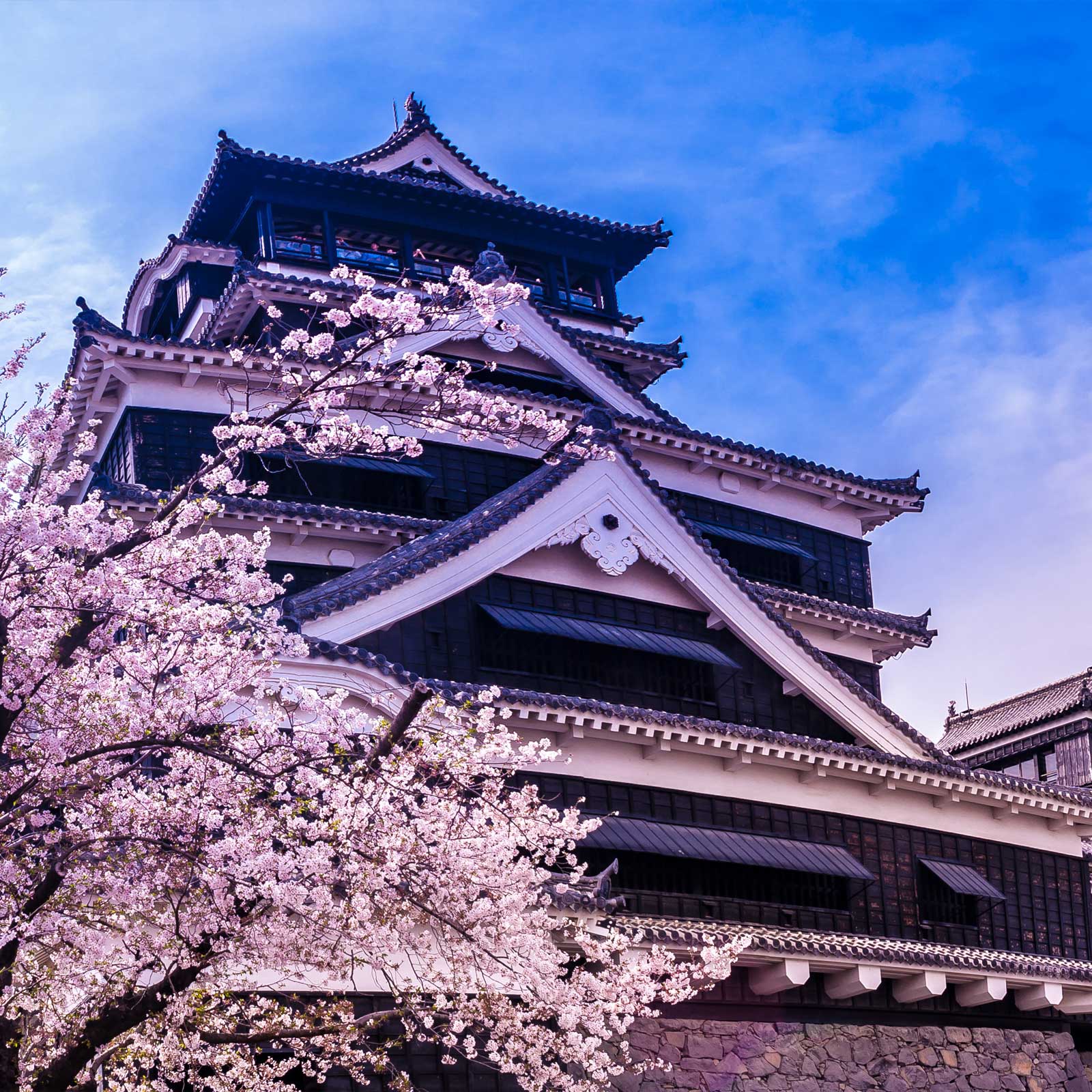1600x1600 Kumamoto: The Land Where Tradition