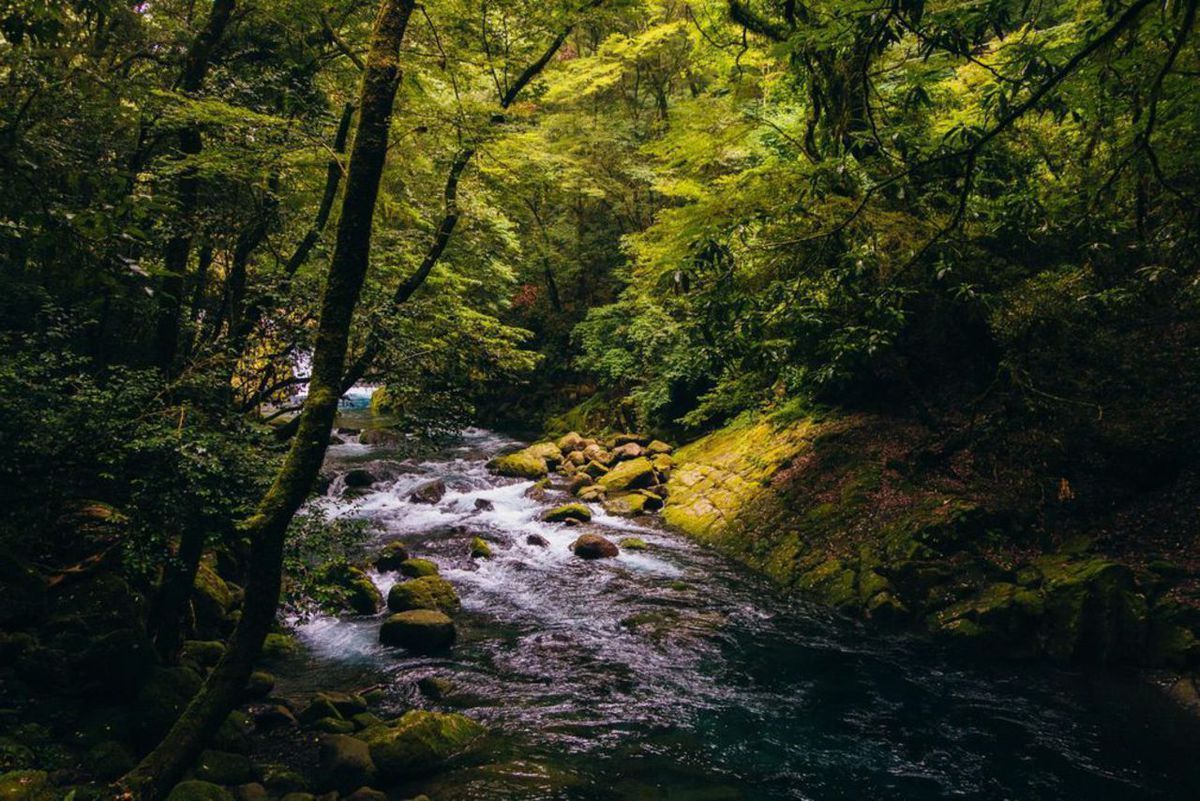 1200x801 Days in Kumamoto and Aso, Japan