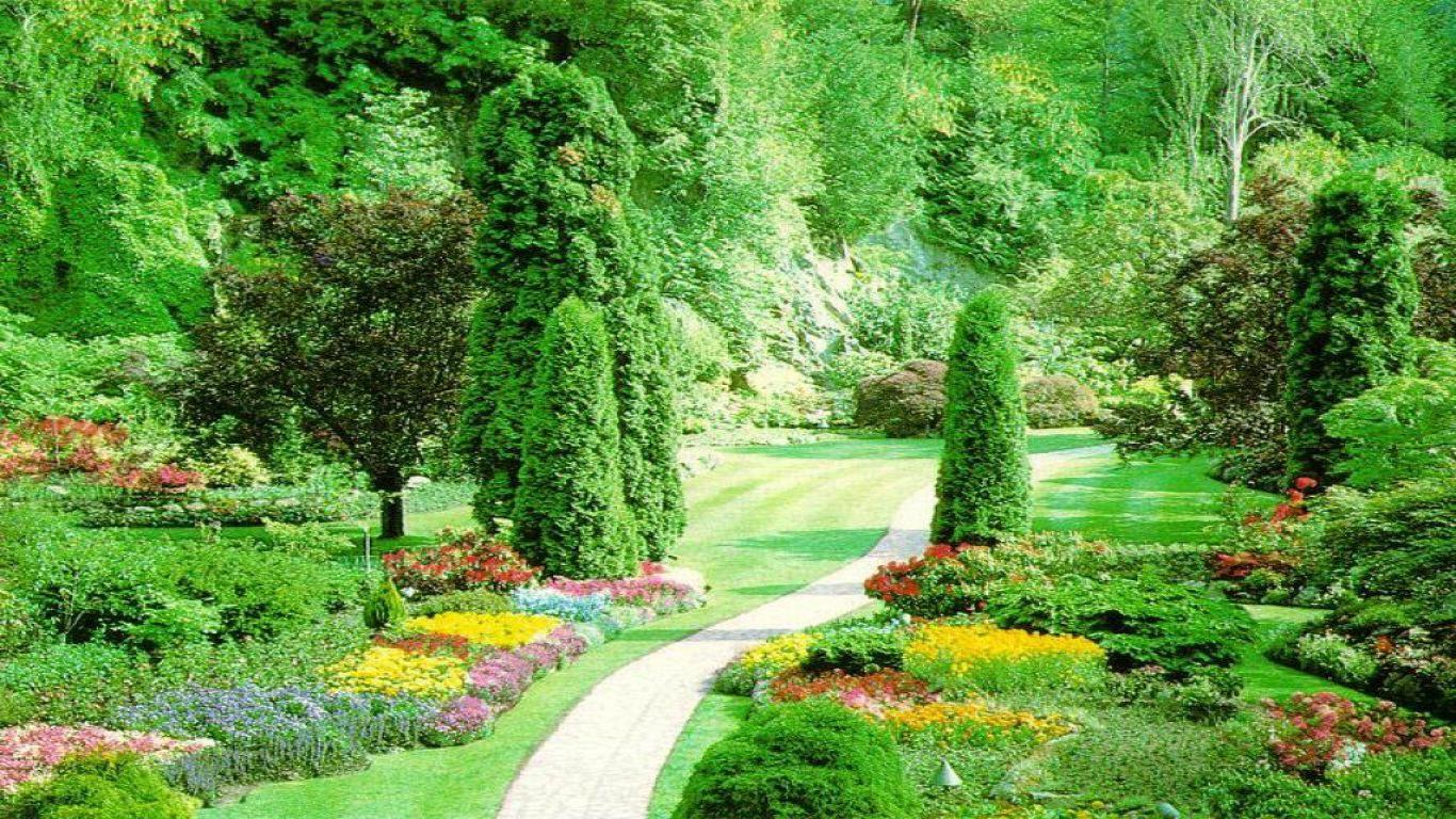 Summer Garden Wallpapers - Top Free Summer Garden Backgrounds ...