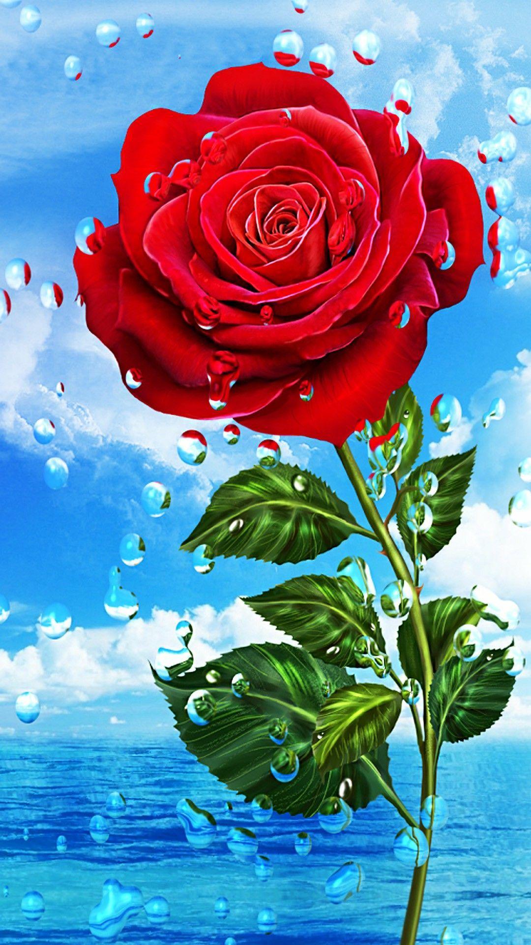 1080x1920 Jennifer Alaina trên hoa.  Hình nền hoa hồng