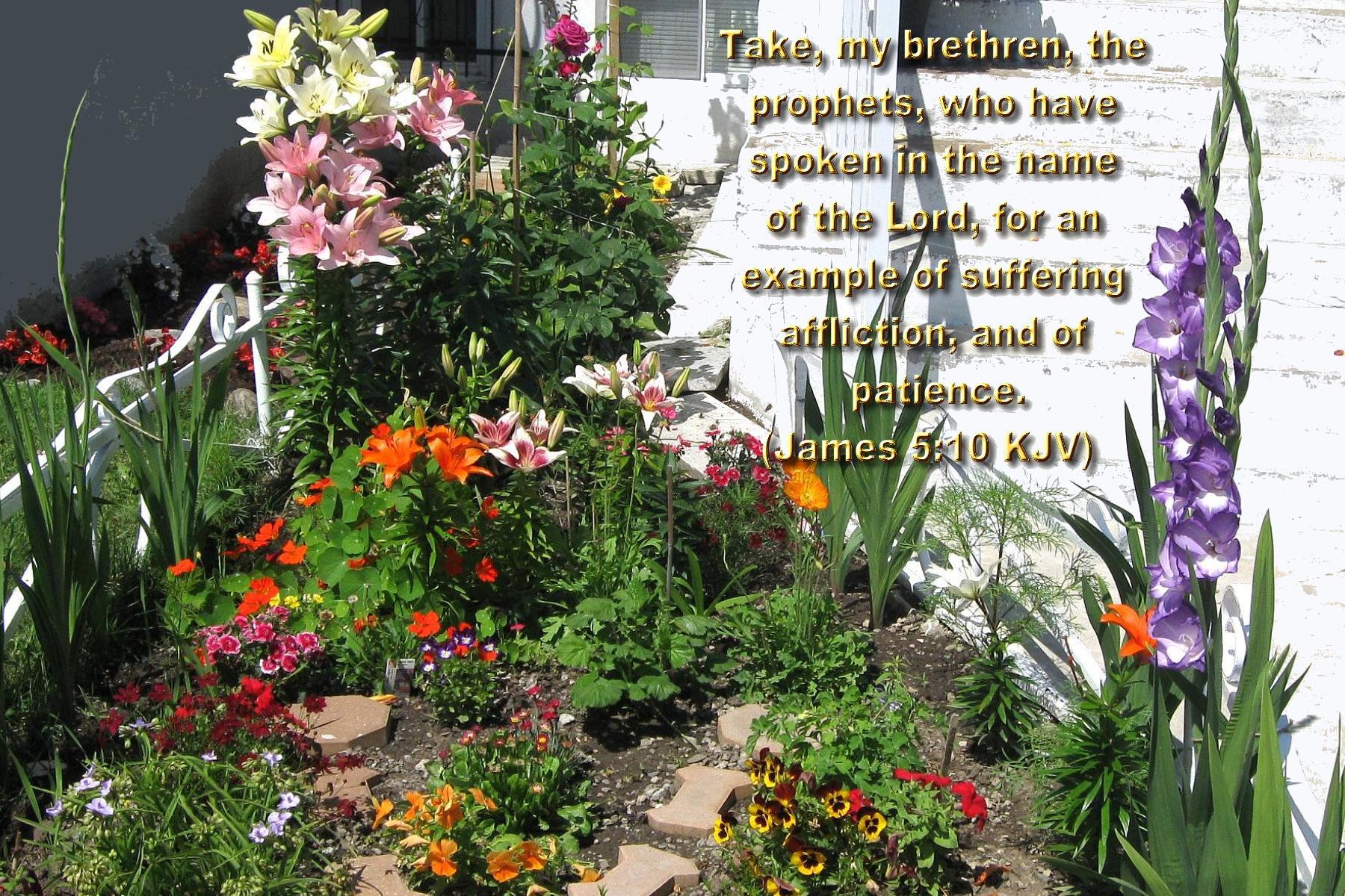 1800x1200 Free download summer flowers summer flowers montreal bible