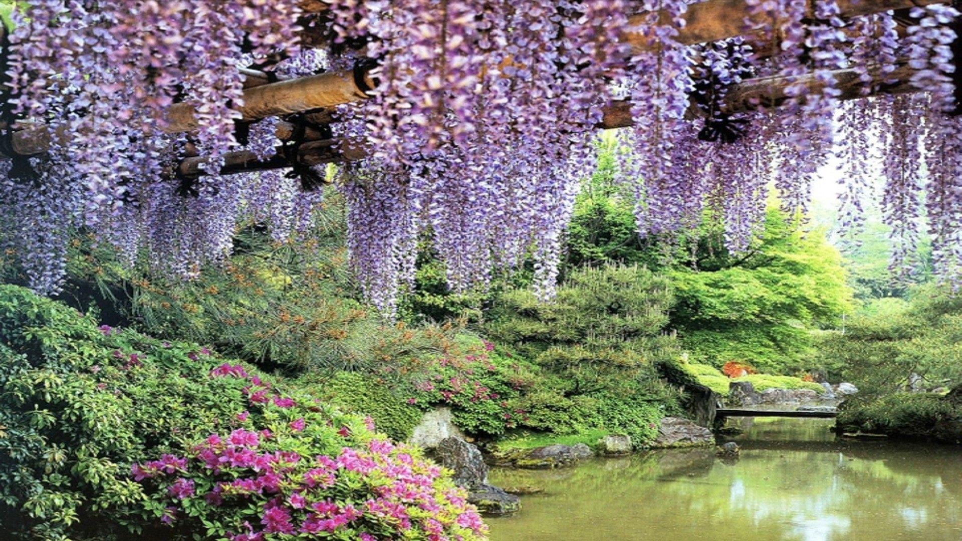1920x1080 Garden Colors Wallpaper