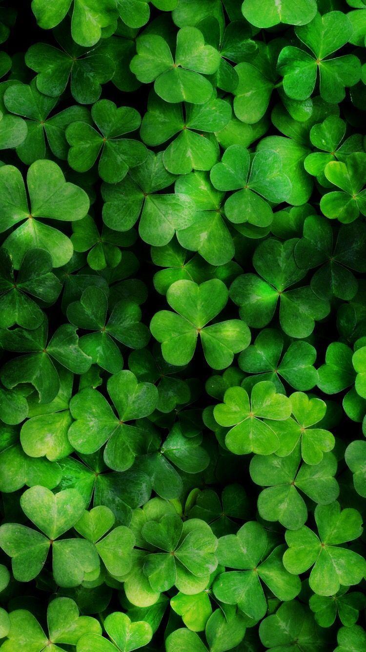 Lucky Wallpapers - Top Free Lucky Backgrounds - WallpaperAccess