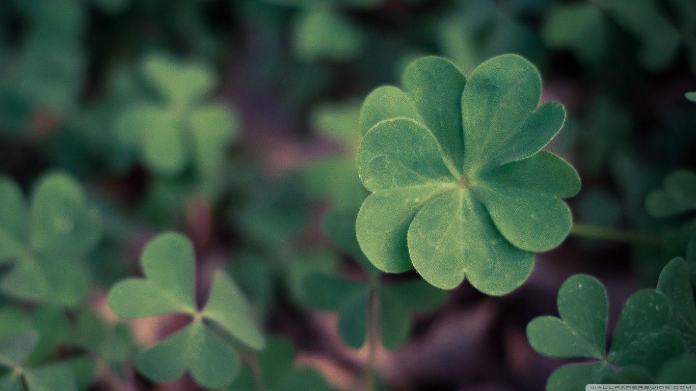 Lucky Wallpapers - Top Free Lucky Backgrounds - WallpaperAccess