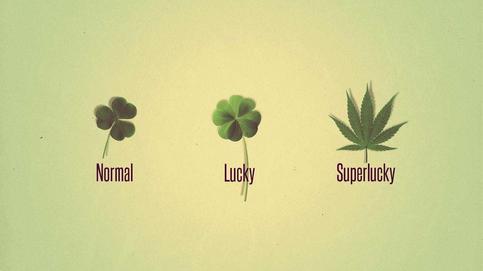 Lucky word typography style vector - Download Free Vectors, Clipart ...