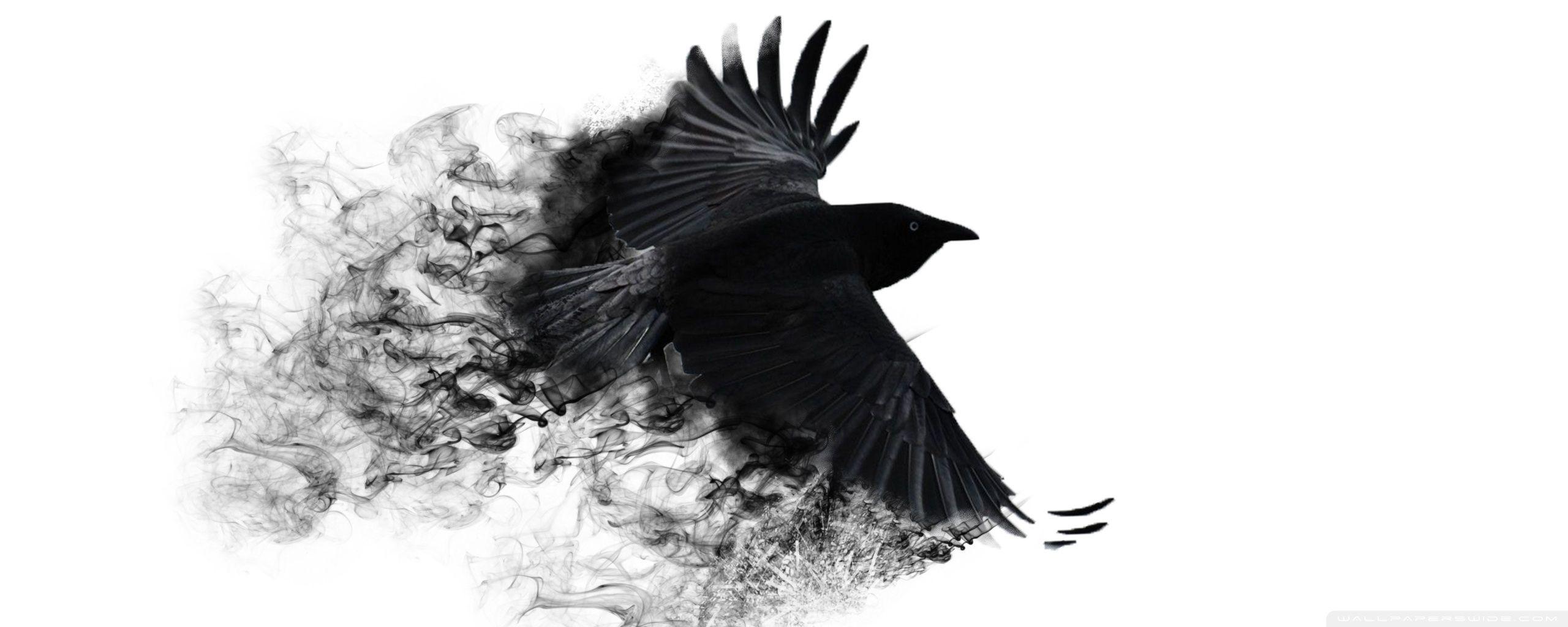 2560x1024 Crow ❤ 4K HD Desktop Wallpaper for 4K Ultra HD TV • Wide