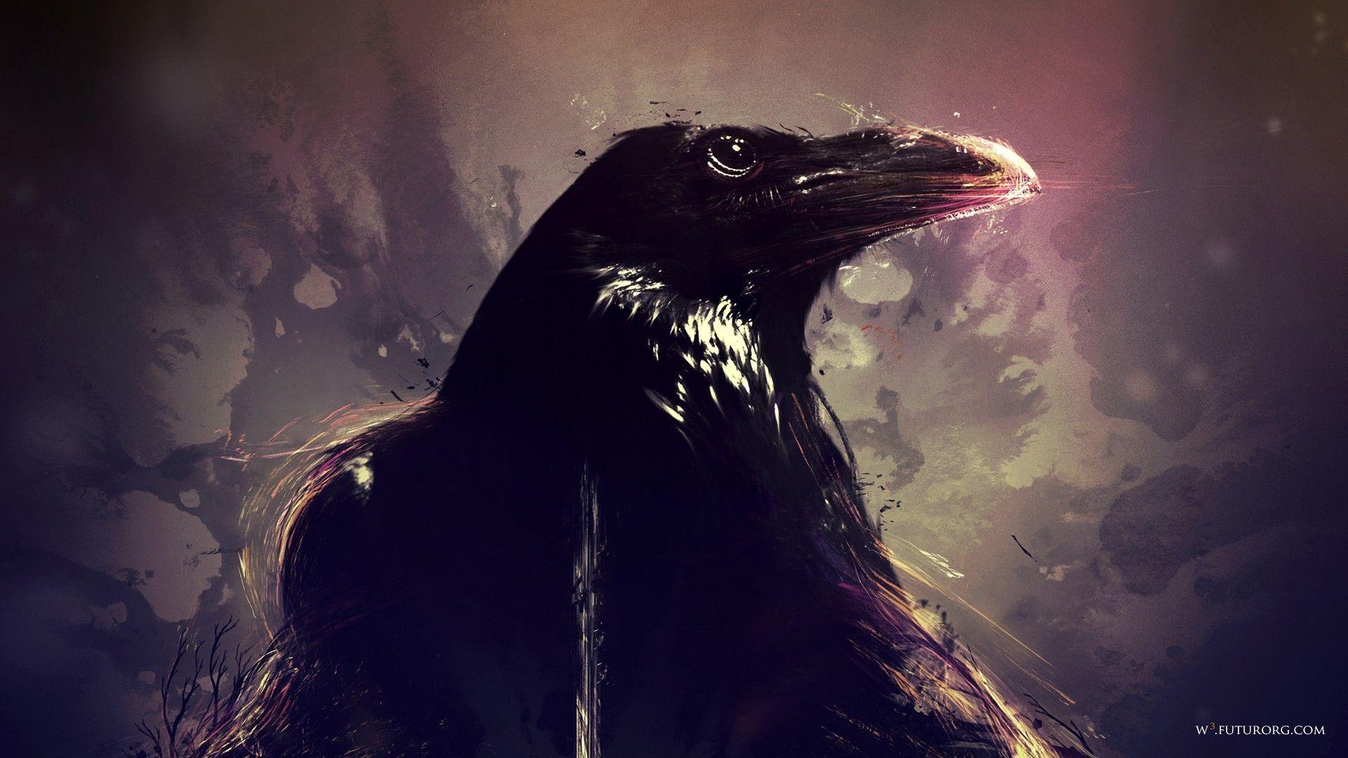 1920x1080 Crow wallpaperDownload free background for desktop