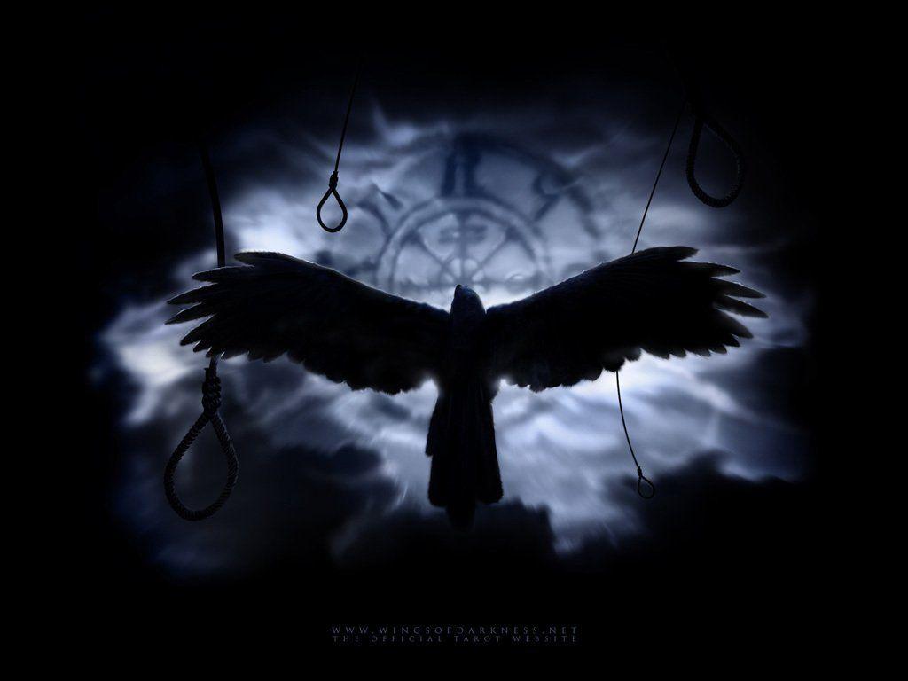1024x768 Crow Wallpaper HD