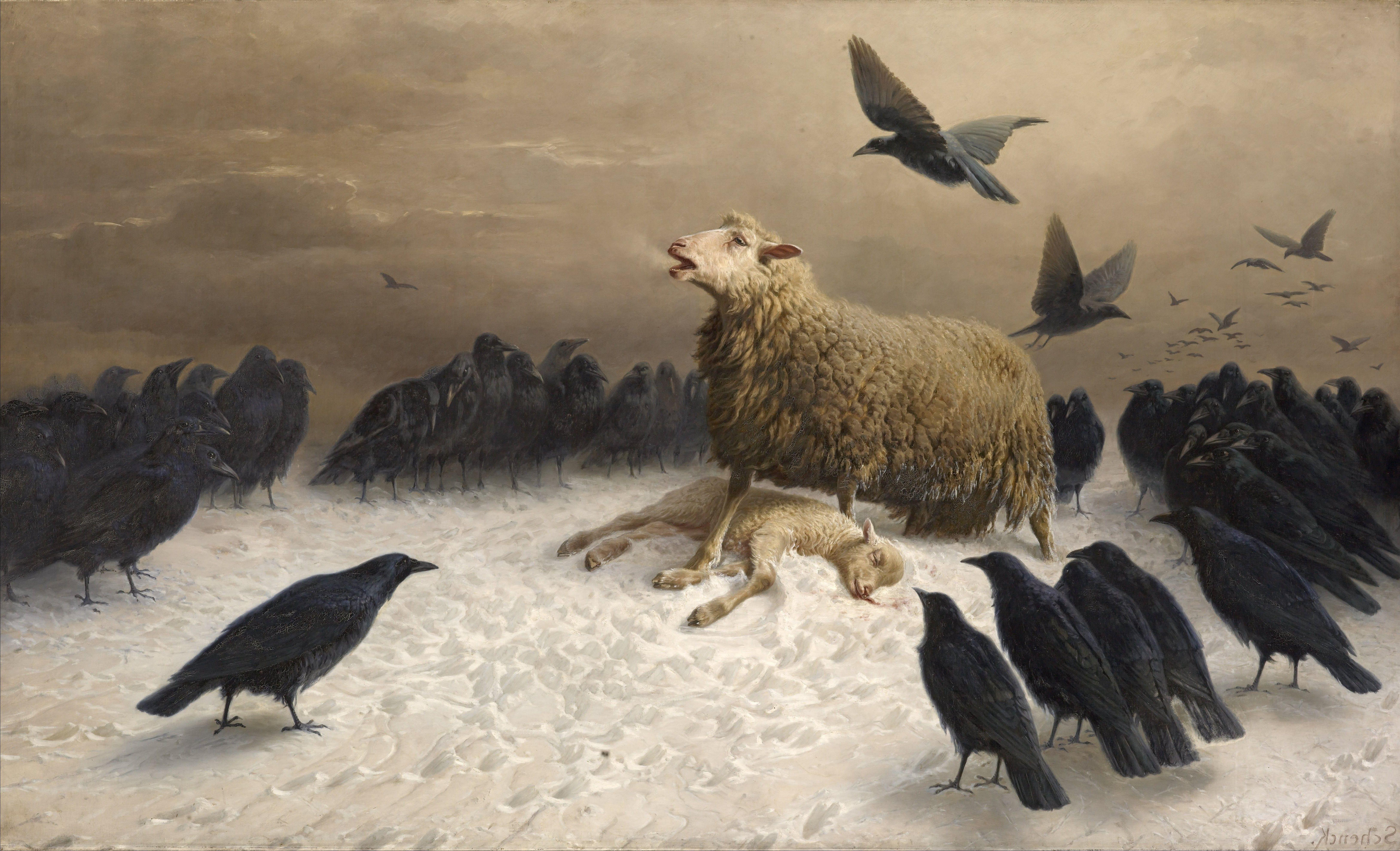 6517x3961 albrecht schenck painting sheep birds classic art crow