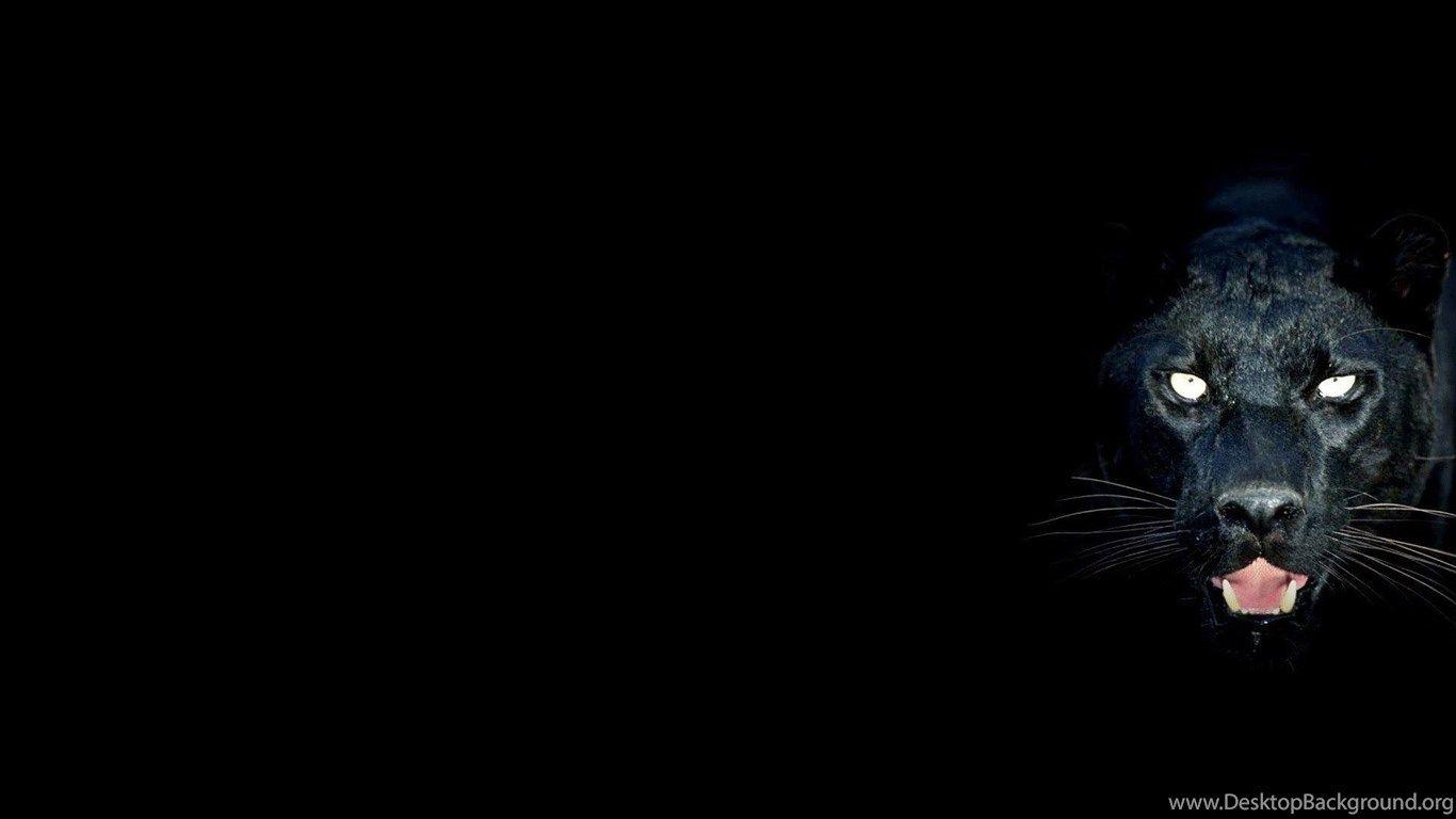 1366x768 Desktop Black Earth Wallpaper Wallpaper Desktop Background